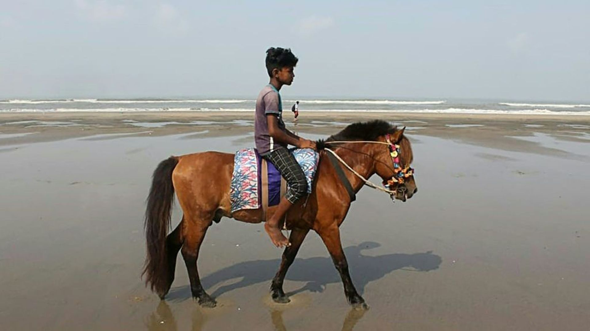 Plus de vingt chevaux sont morts de faim en un mois dans la station balnéaire la plus populaire du Bangladesh.