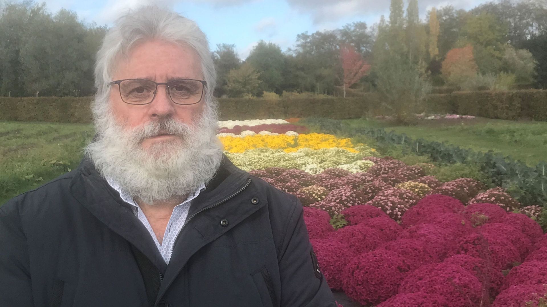Guy Van Michel Dit Valet connaît bien l'histoire et la symbolique du chrysanthème