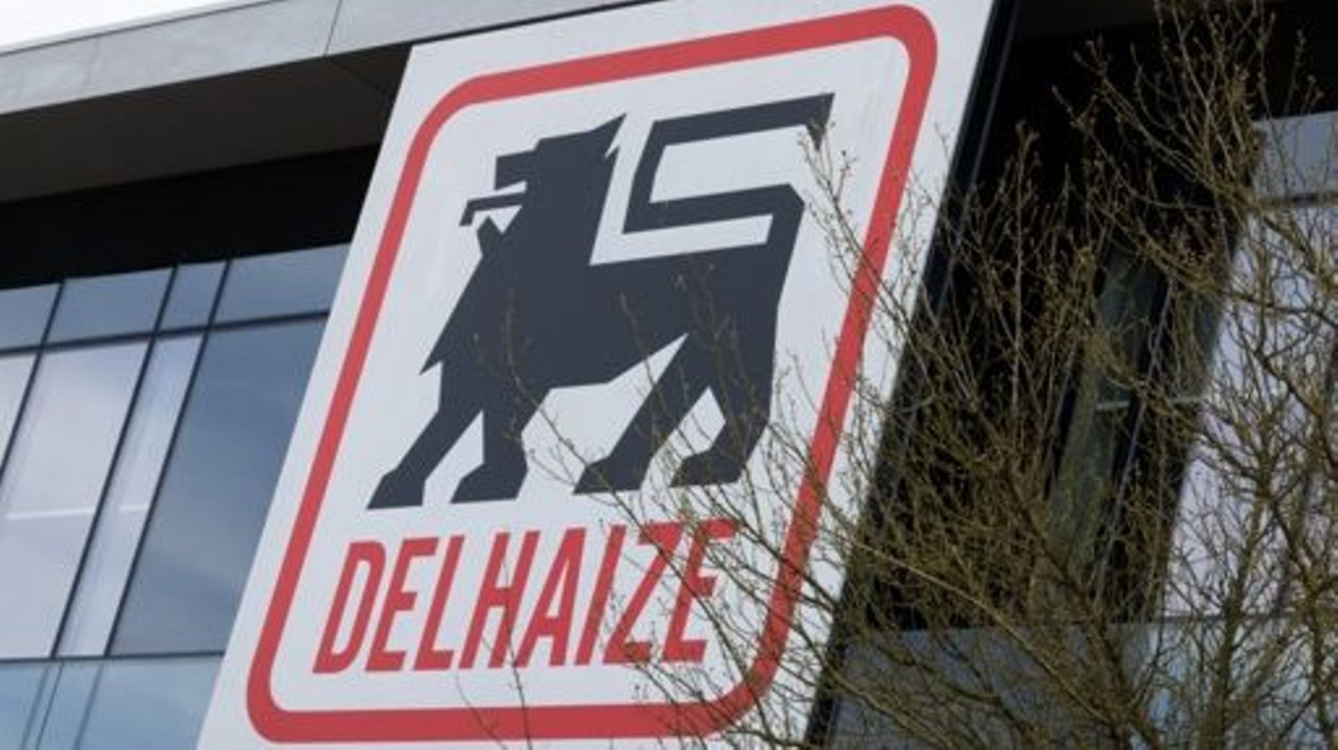 Illustration picture shows the Delhaize logo at the headquarters of supermarket chain Delhaize, in Zellik, Asse, Thursday 16 March 2023. The supermarket chain recently announced its plan to sell their remaining company-owned stores in Belgium, over 120 su