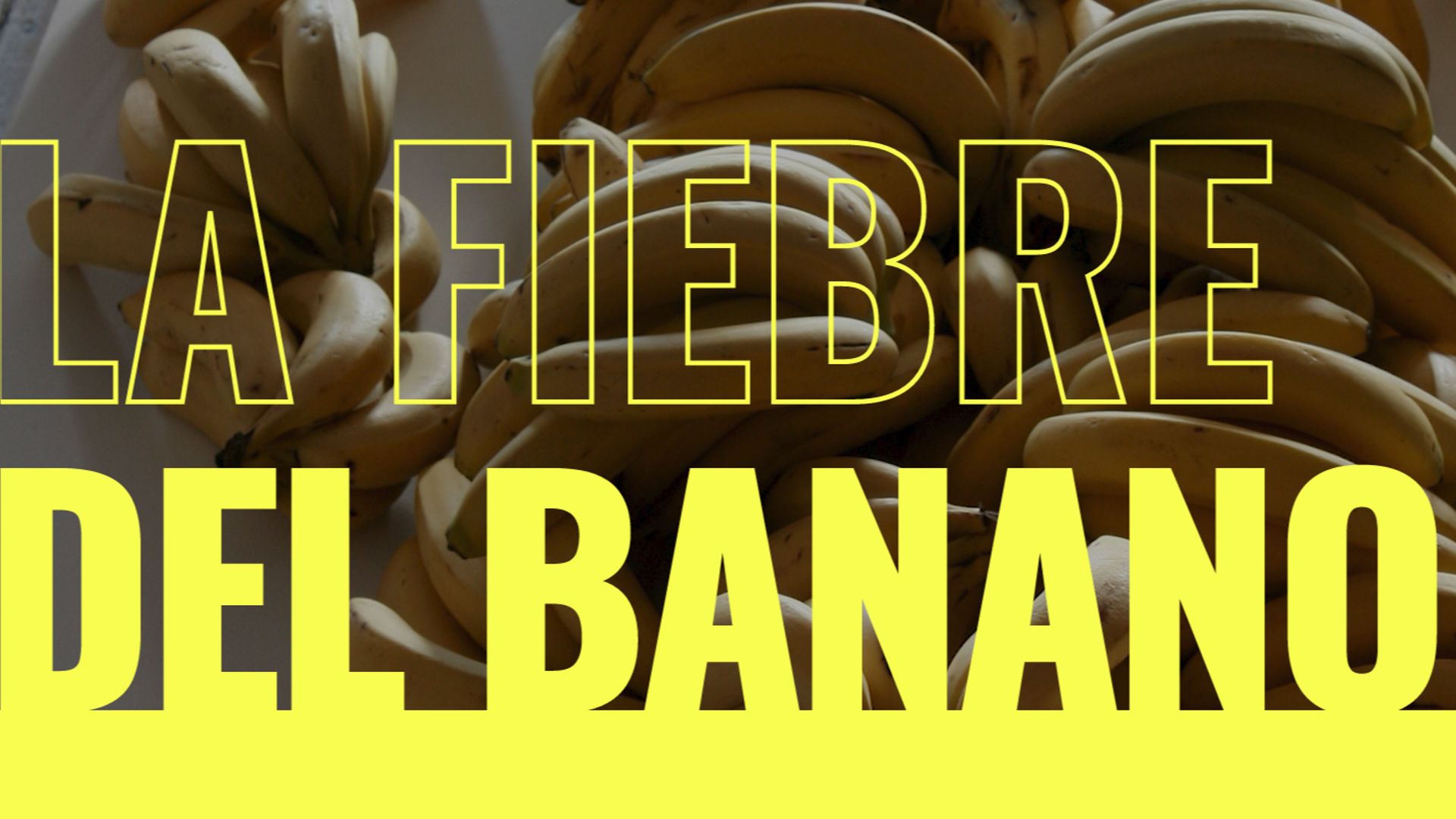 "La fiebre del banano/Banana Craze" : Une nouvelle exposition numérique retrace l’histoire de la banane, devenue le symbole de la mondialisation et du colonialisme en Amérique latine.