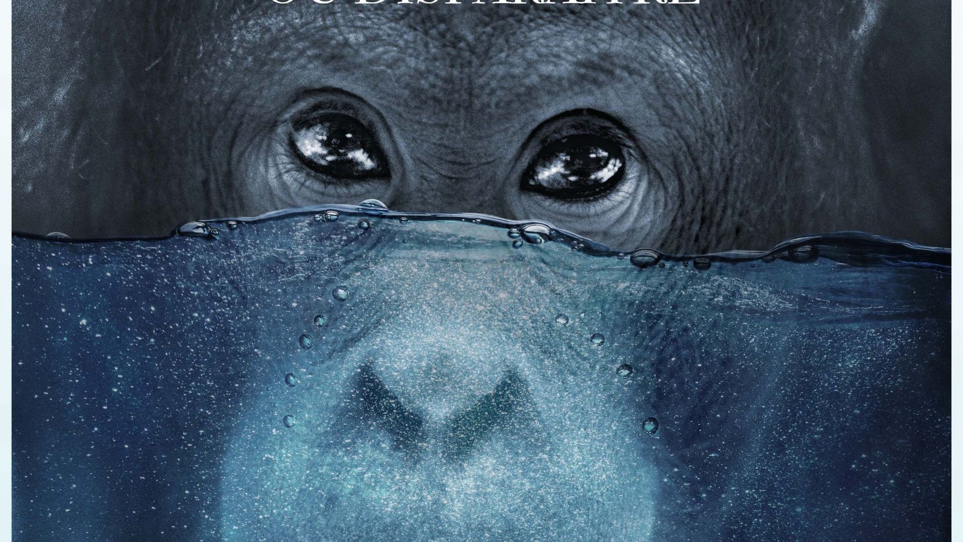 Affiche du film documentaire : "Ecocide : changer ou disparaître"