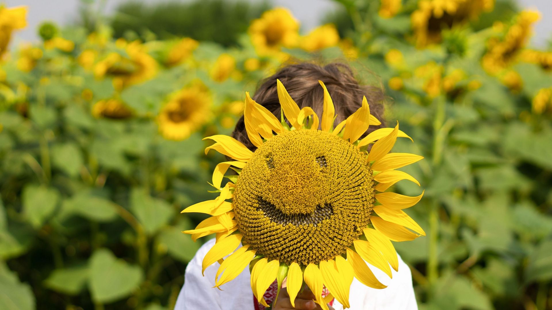 Le top des bonnes nouvelles de la semaine : 5 bouffées d’air frais