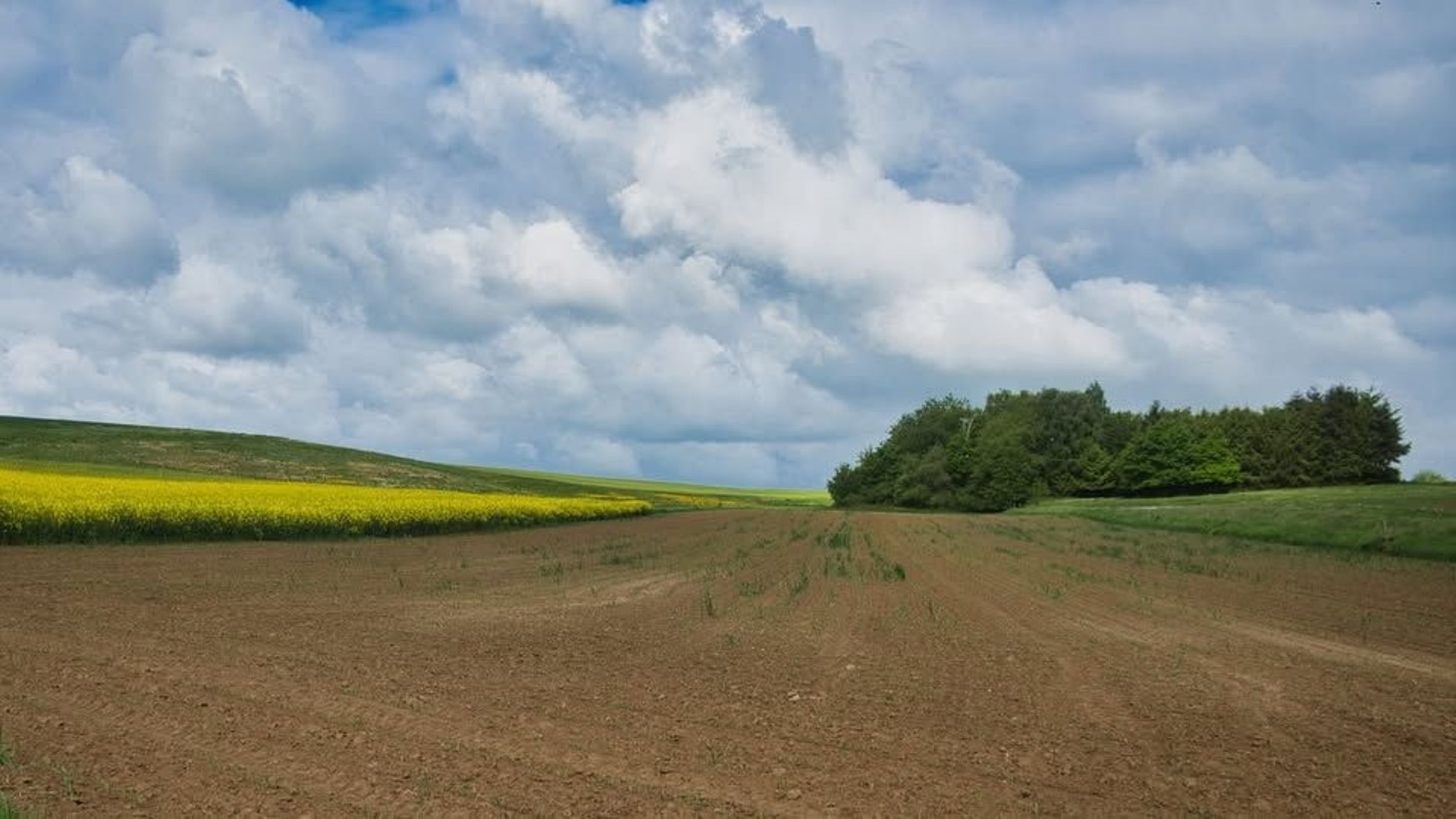 Météo en Belgique : Une zone de pluie coupe la Belgique en deux ce mercredi