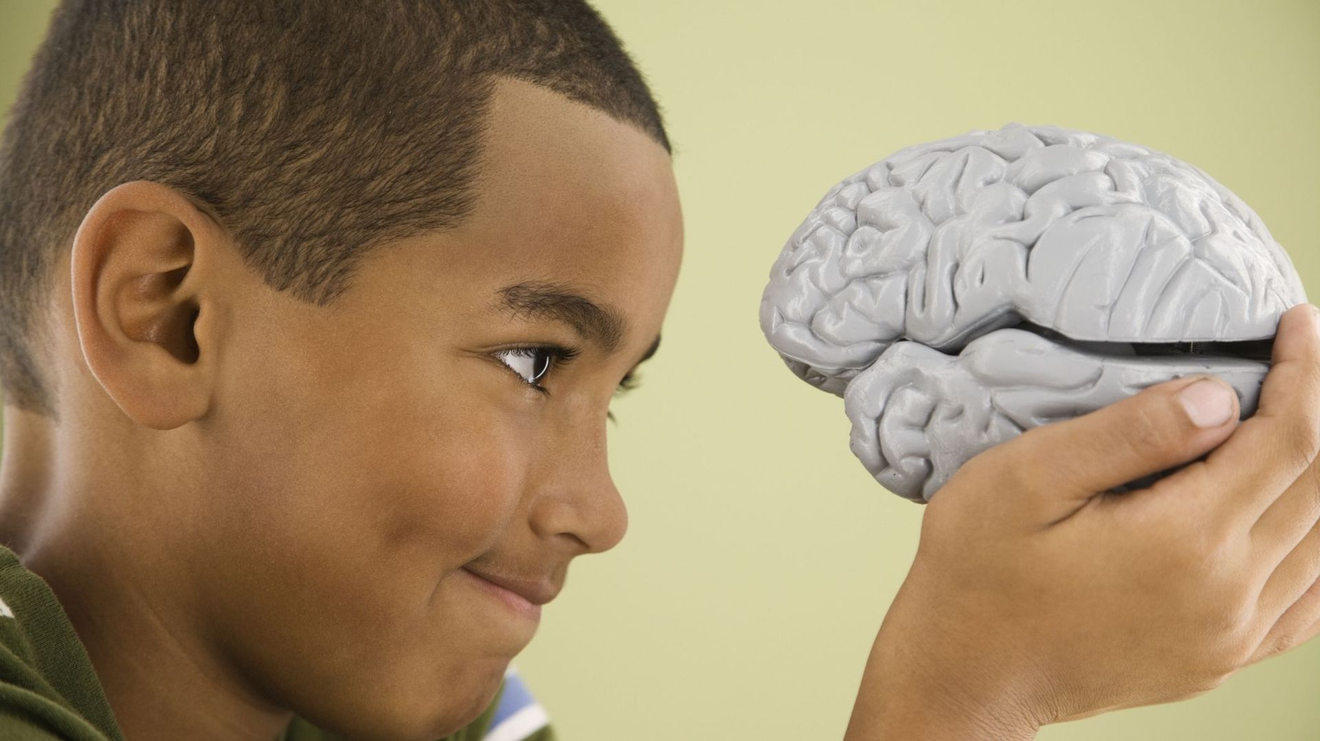 Perturbateurs endocriniens : une étude conclut à un impact sur le développement cérébral des enfants
