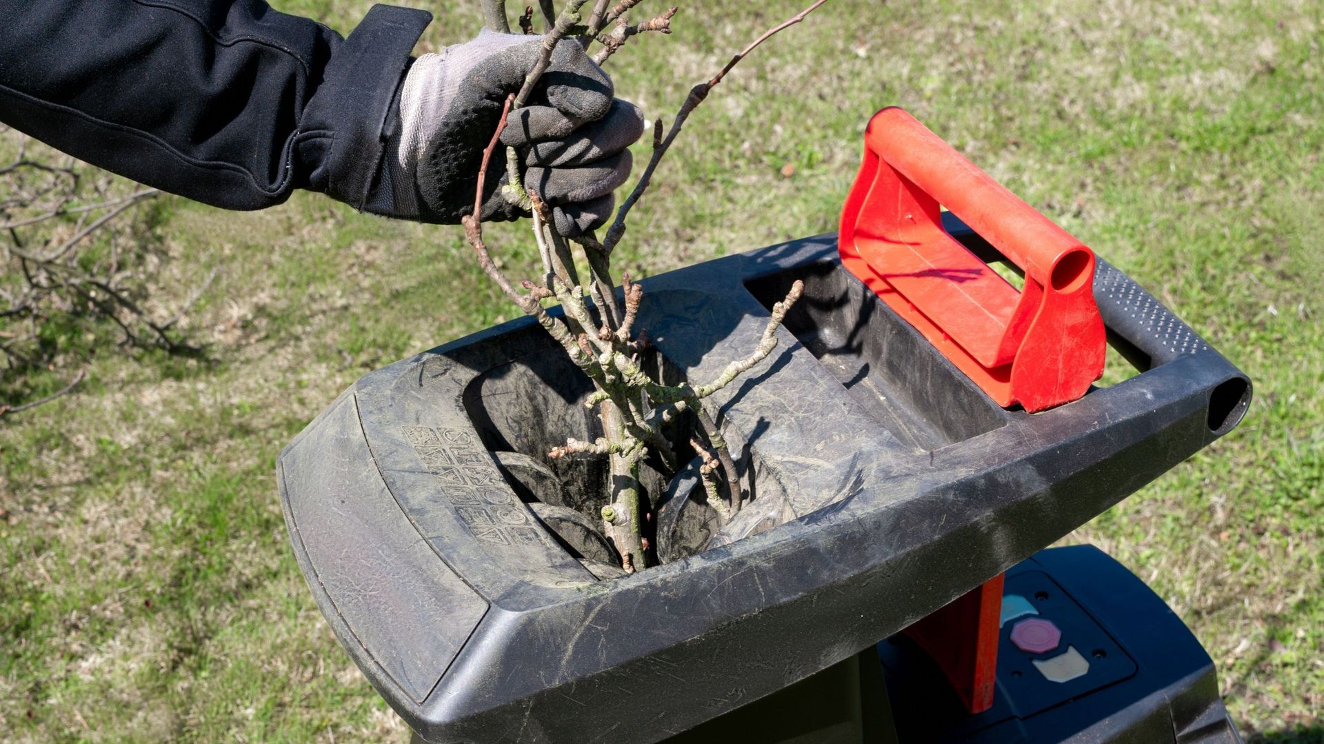 Ne portons pas les branches taillées au parc à conteneurs. Pour les composter, un broyeur les transforme en copeaux, matière carbonée à placer sur le tas ou dans le silo en alternance avec les matières fraîches.