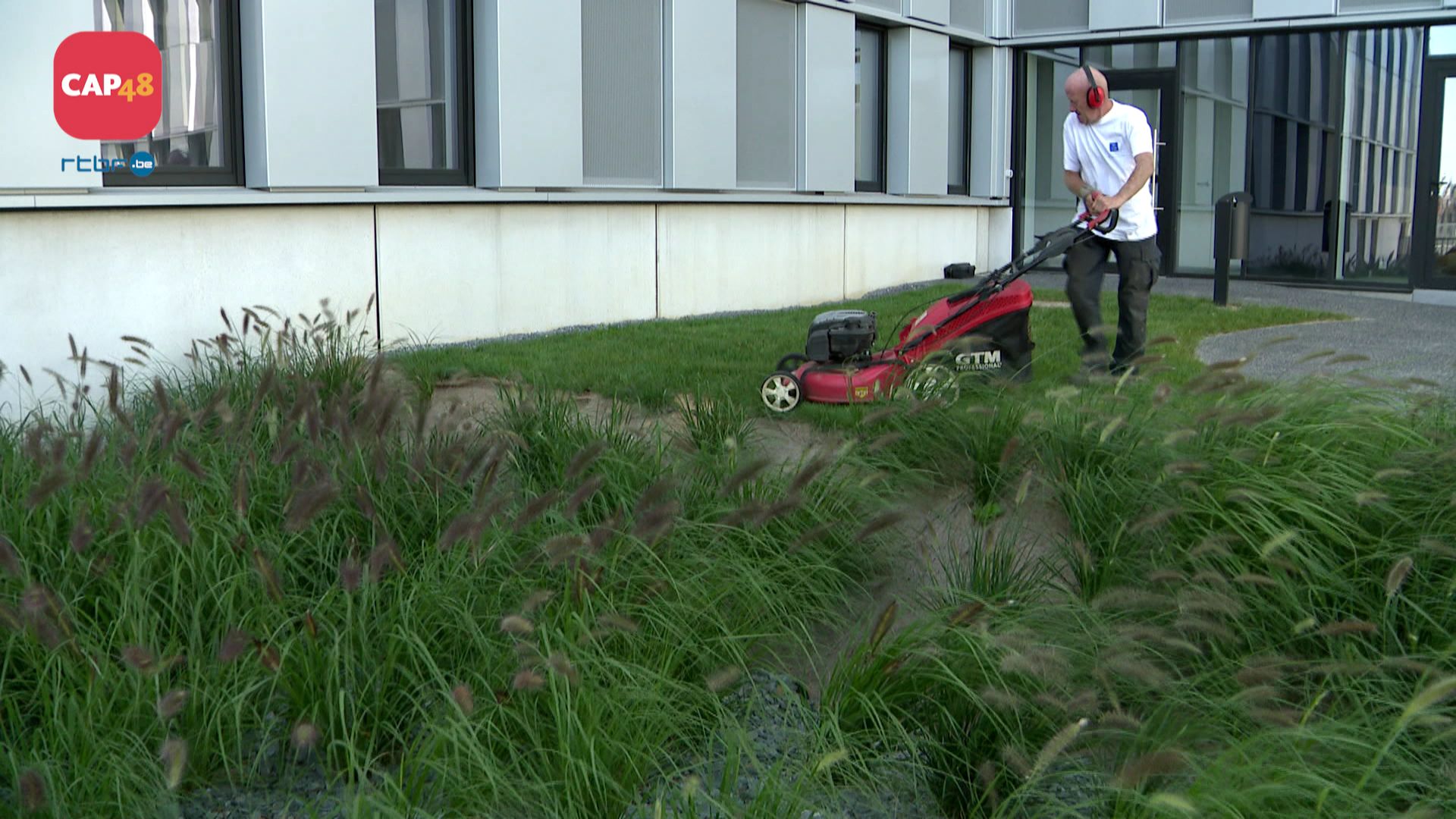 Tonde de pelouse réalisée par Denis du Village liégeois, une entreprise de travail adapté.