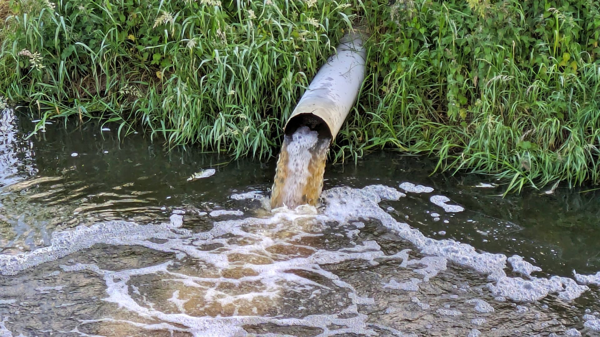 Donner une seconde vie aux eaux usées
