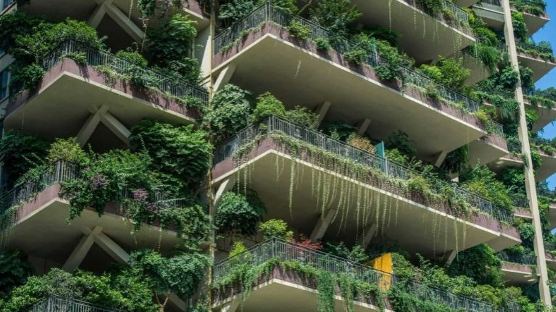 Des bâtiments résidentiels "végétalisés" à Chengdu, dans la province chinoise du Sichuan, le 3 août 2020 .