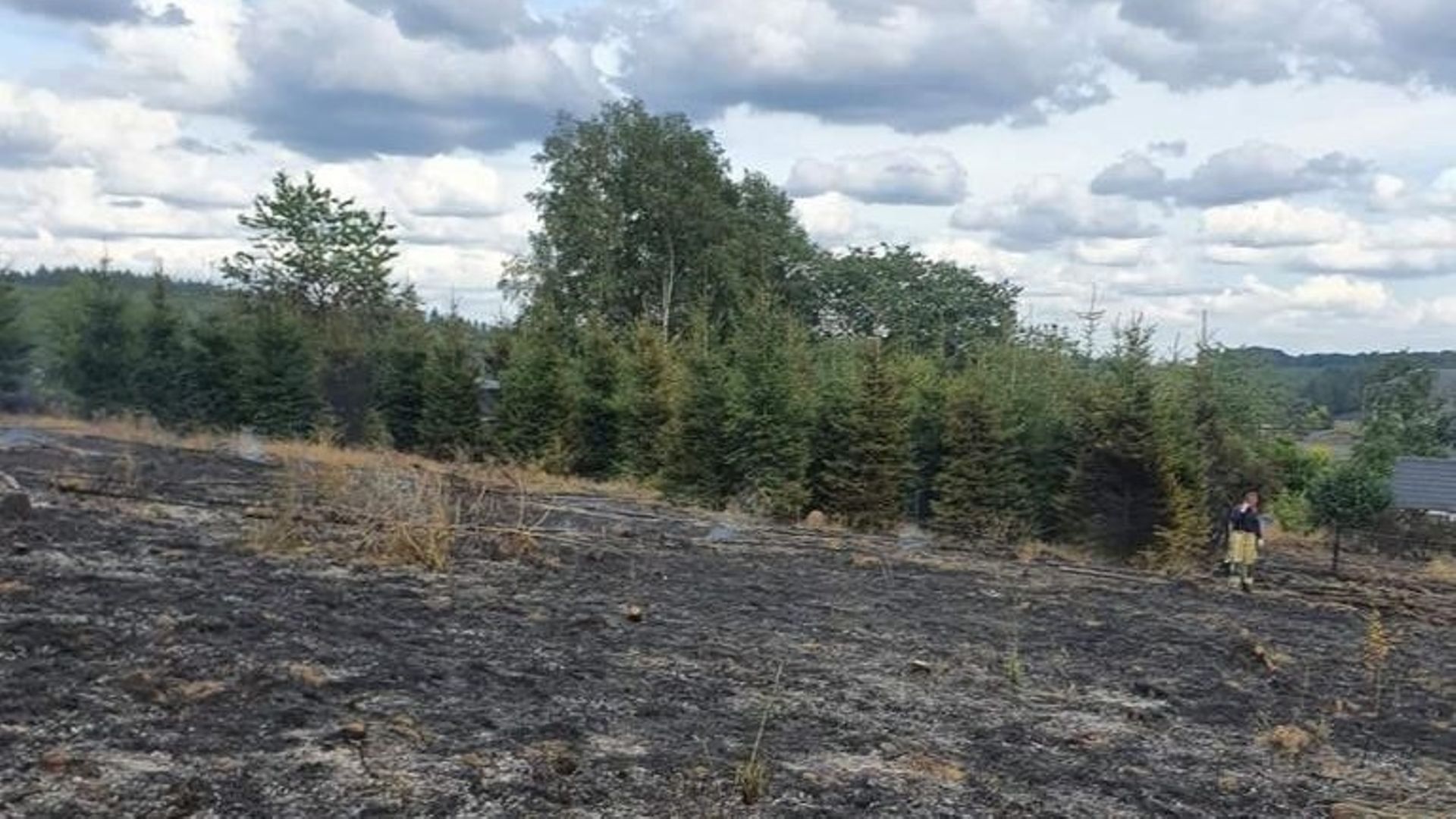 2 ha de broussailles et des sapins ont brûlé ce mardi après midi à Nafraiture