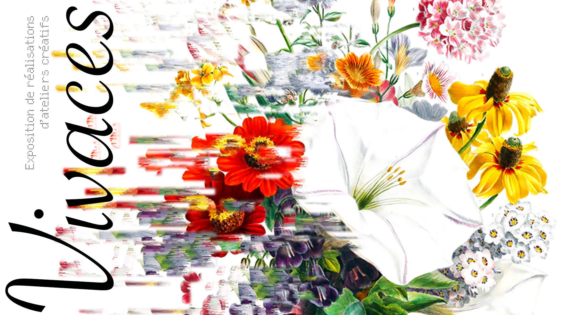 Exposition "Vivaces" au sein des Serres du Jardin Botanique de Liège