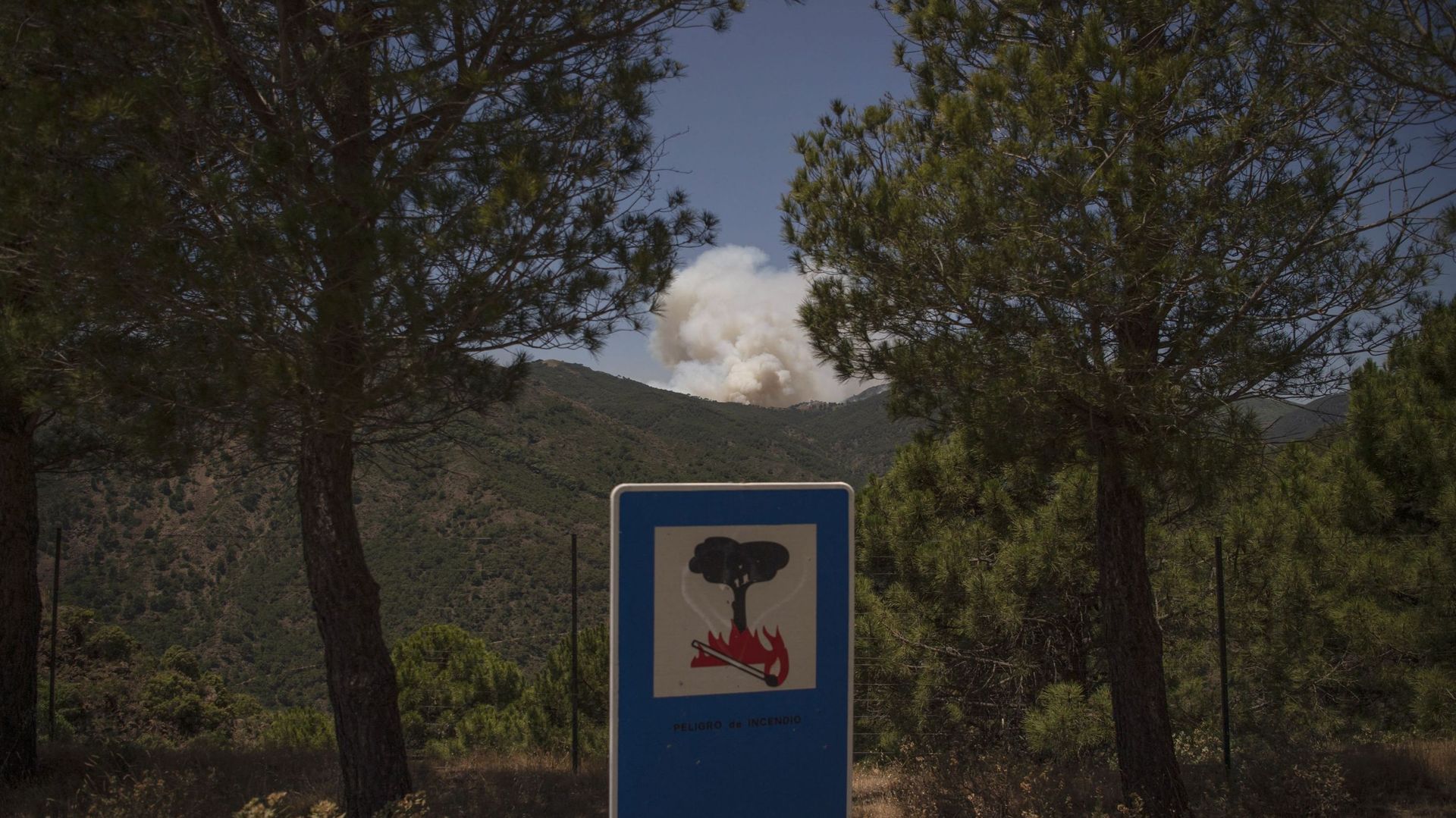 Un panneau indique "Risque d’incendie" alors que la fumée d’un feu de forêt s’élève au-dessus de la chaîne de montagnes Sierra Bermeja, à Benahavis, dans la province de Malaga, le 10 juin 2022.