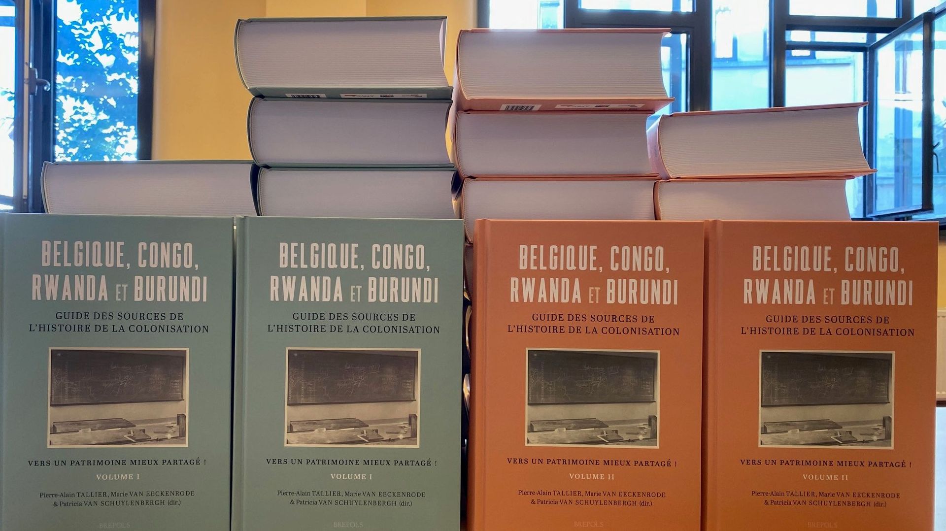 Deux "pavés" qui ont pour titre : "Belgique, Congo, Rwanda, Burundi. Guide des sources de l’histoire de la colonisation". Volume 1 et 2, édités chez Brépols.