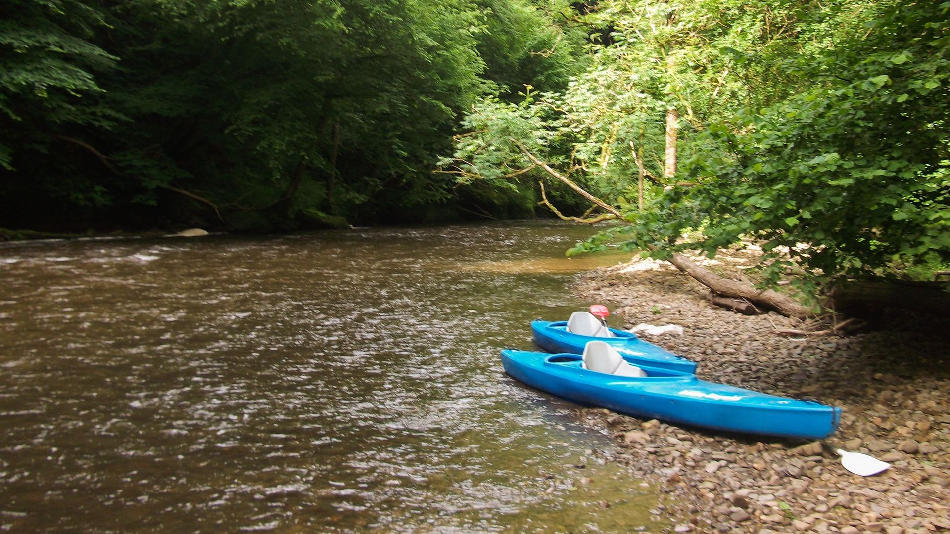Le kayak, un loisir pour l'homme mais pas au détriment de la rivière