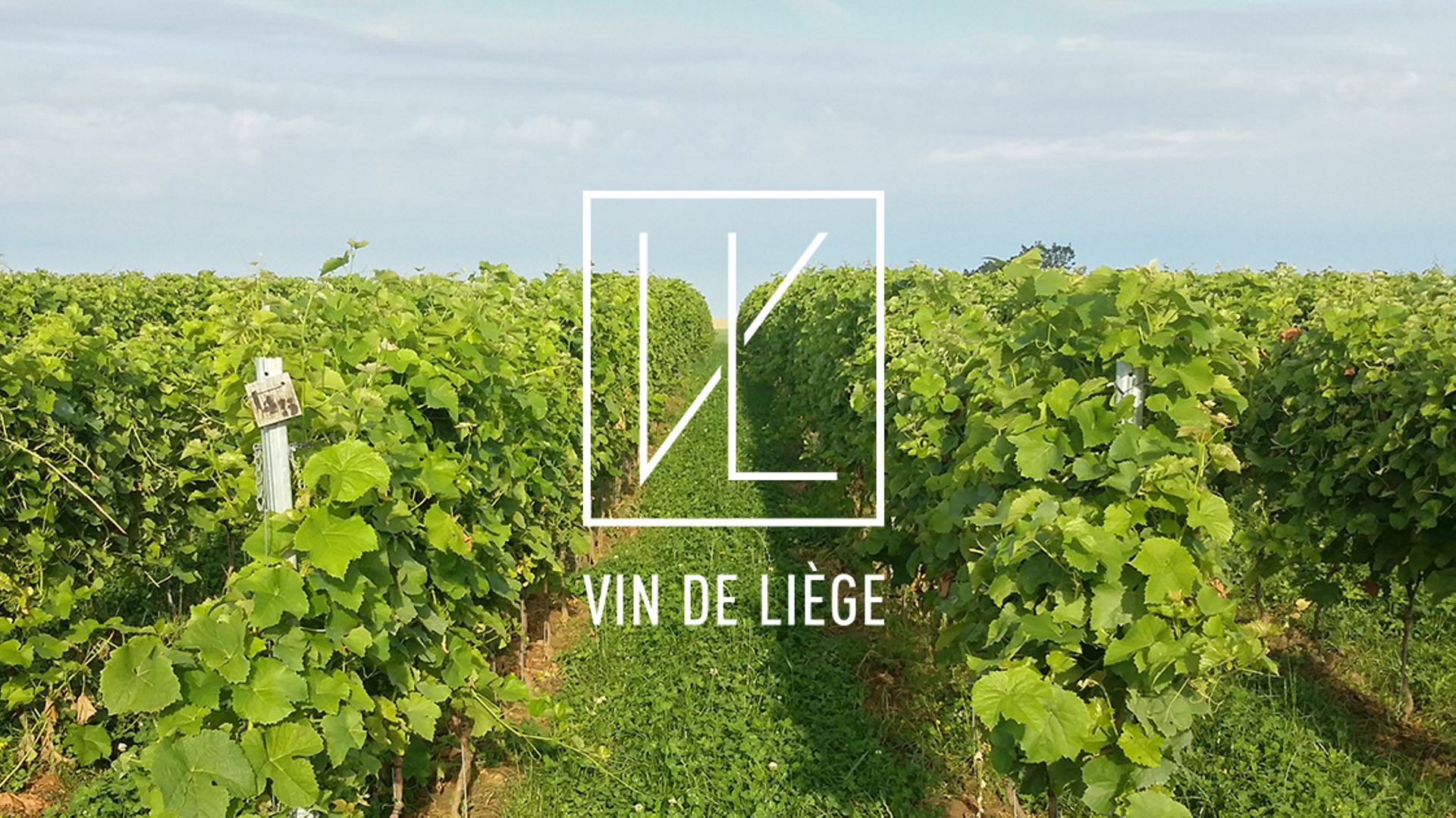 2eme-edition-du-week-end-decouverte-des-brasseries-vignobles-distilleries-de-wallonie
