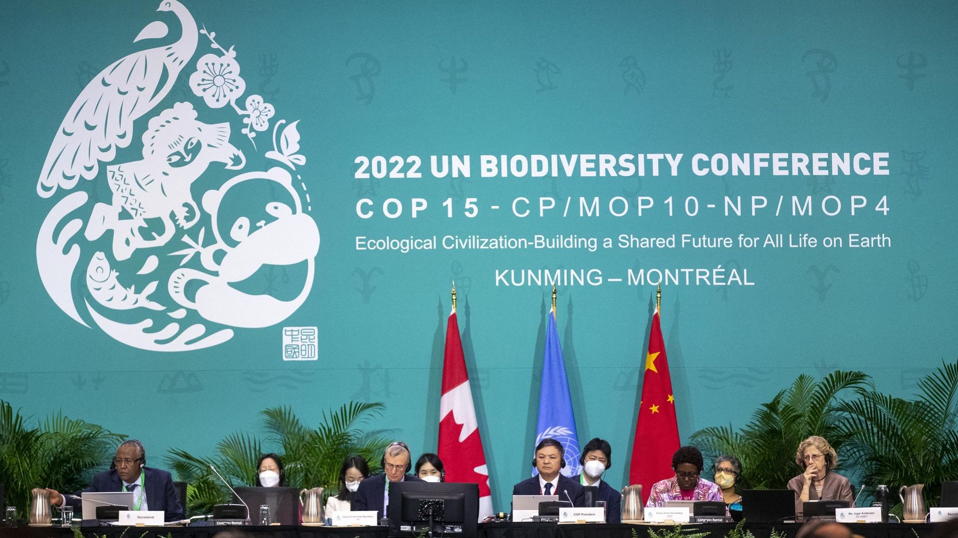 L'espoir D'un Accord Ravivé à La COP15 Sur La Biodiversité - RTBF Actus