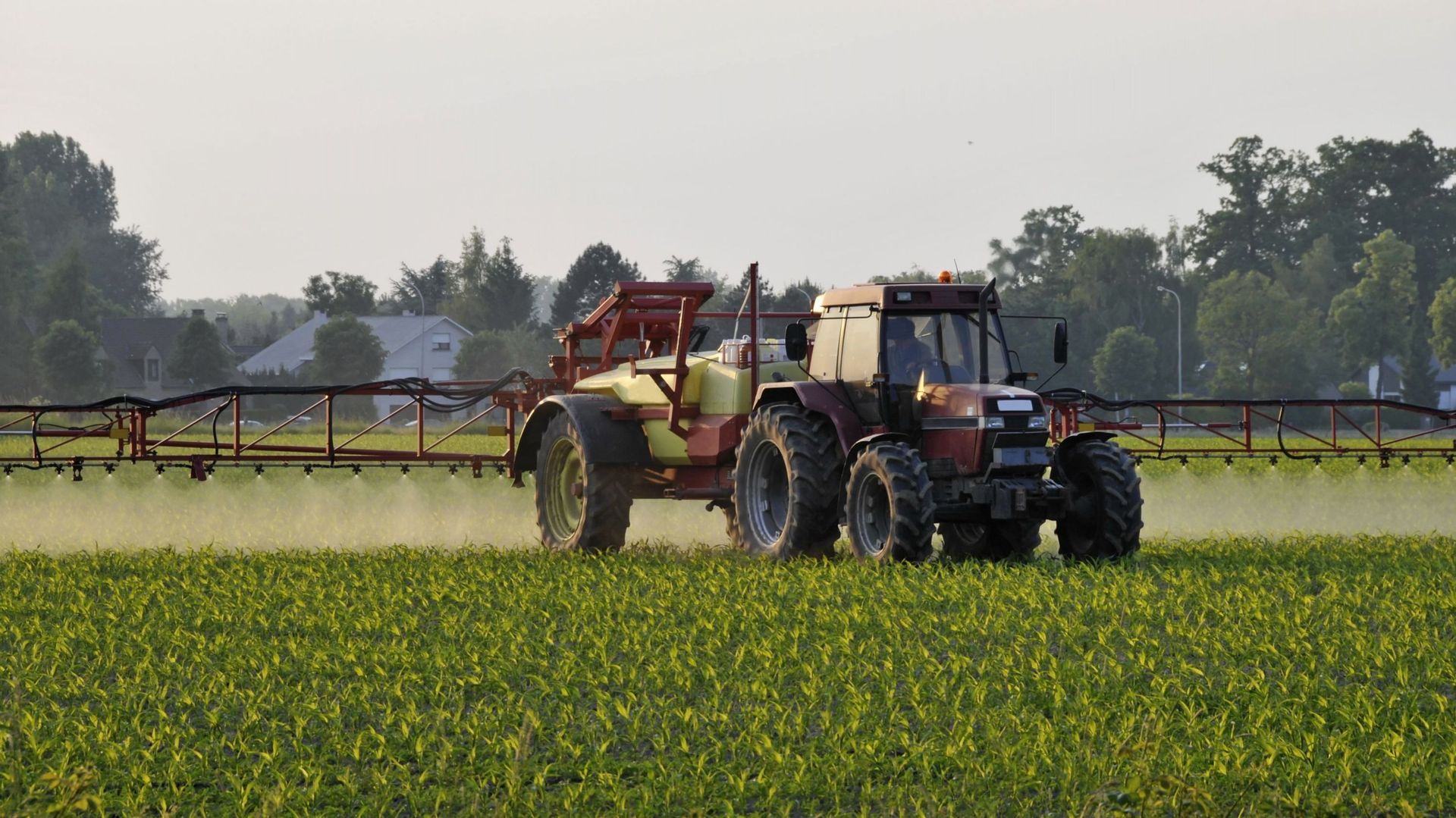 Deux ONG vont assigner le ministre fédéral de l’Agriculture David Clarinval en justice pour non-respect du règlement européen sur les pesticides.