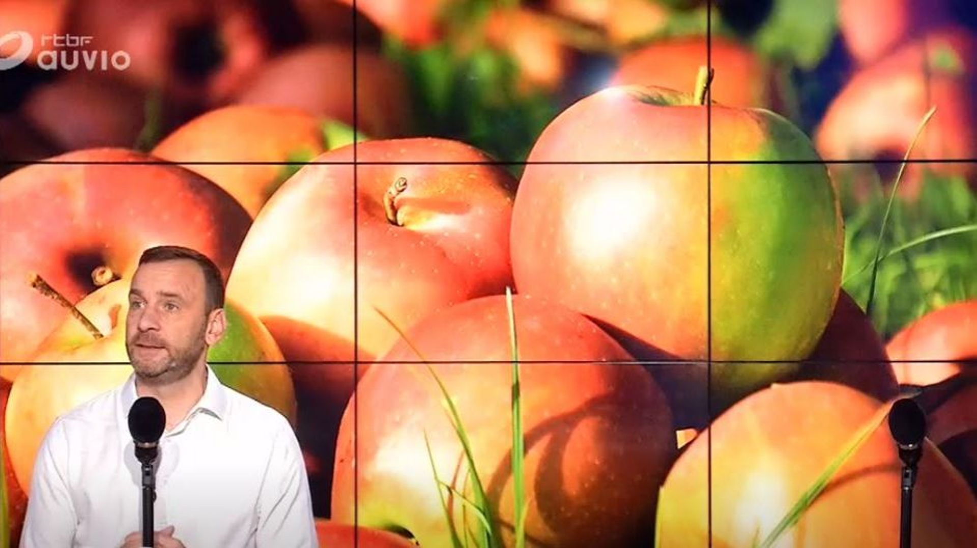 La fête aux pommes à l'Aquascope de Virelles : on craque, on croque 