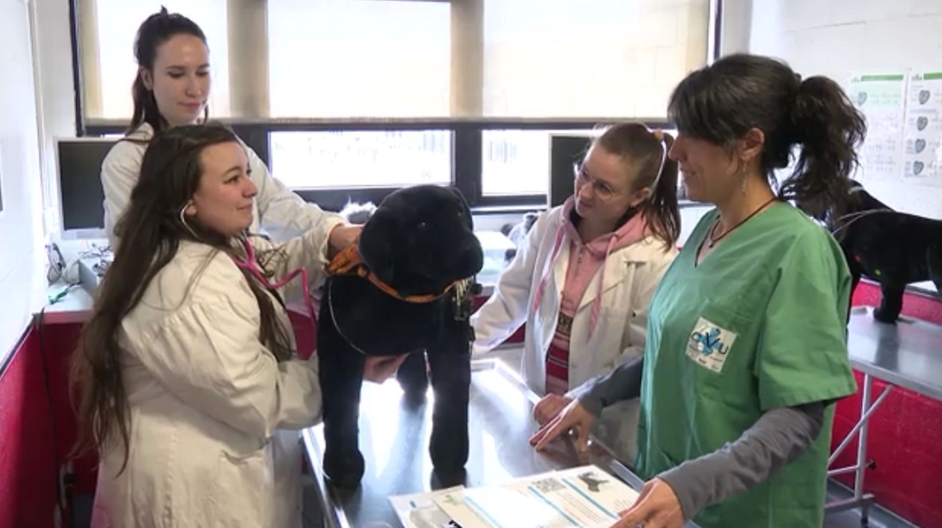 Les haut-parleurs installés dans ce chien en peluche permettent aux étudiants d’écouter son cœur.