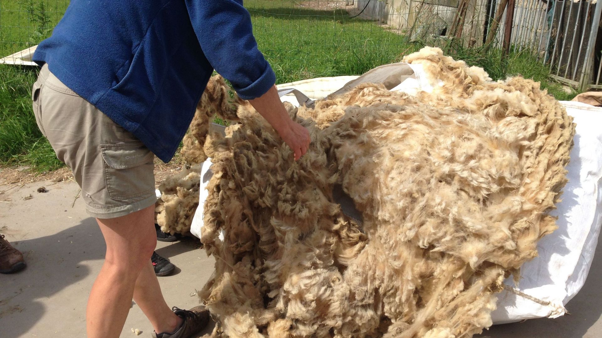 Des dizaines de sacs remplis de centaines de kg de laine