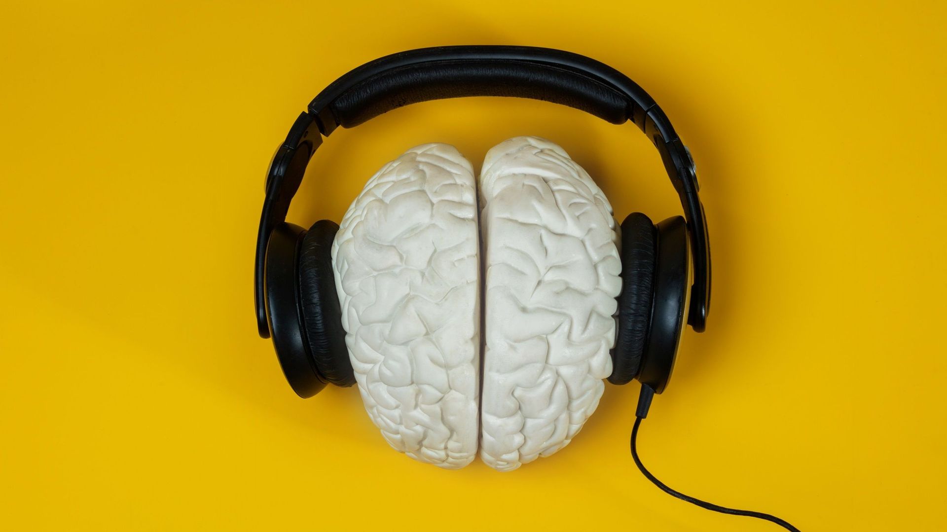 L’impact de la musique sur les fonctions cognitives et exécutives de notre cerveau n’est plus à prouver.