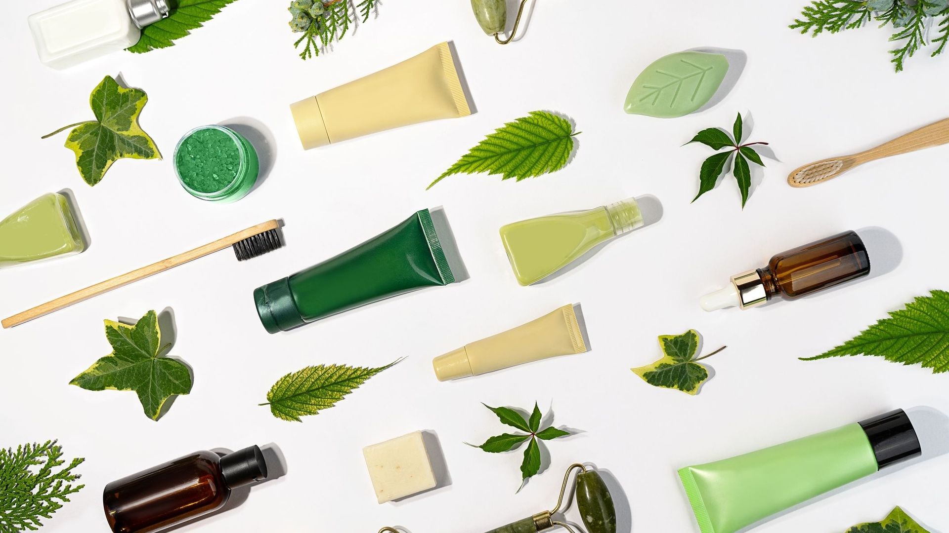 Sève végétale, herbes et baies sauvages.