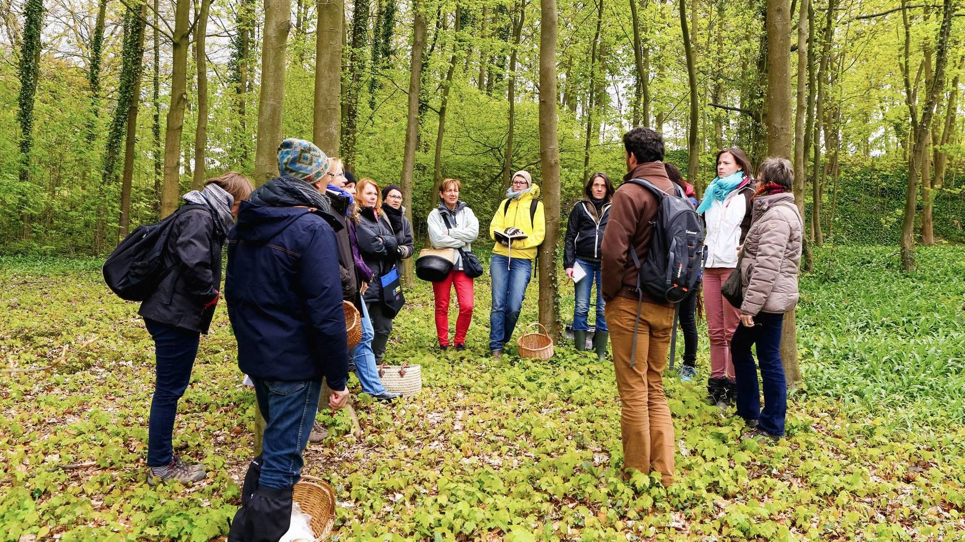 'Cuisine sauvage' découvrez les plantes comestibles ! - RTBF Actus