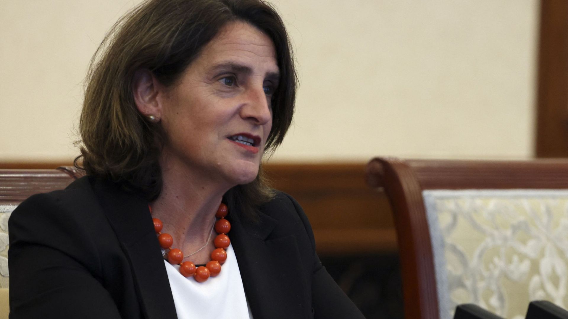 La commissaire européenne Teresa Ribera qualifie la situation à Gaza de "génocide"