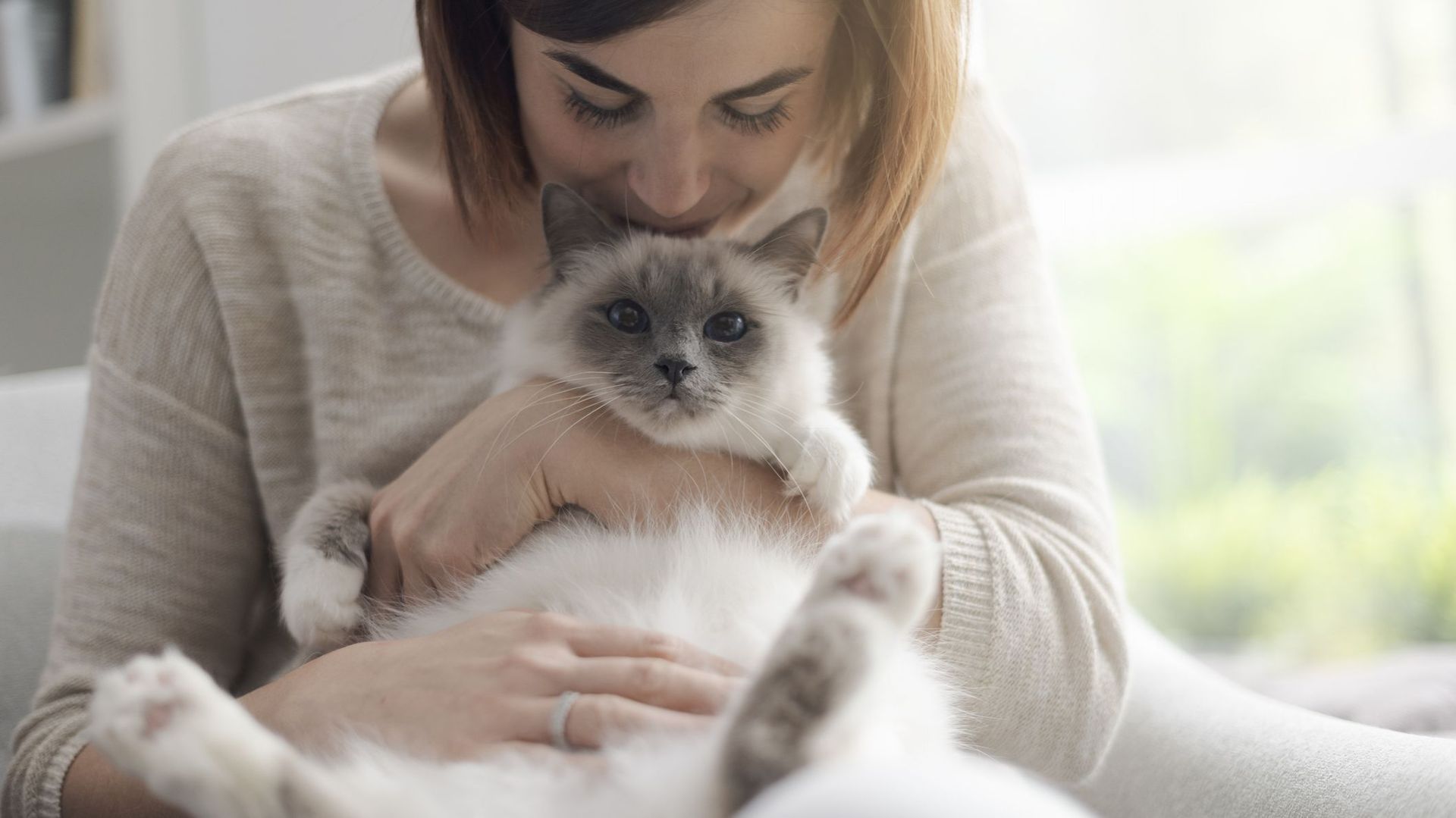 Jouer de la musique 'cat-friendly' calmerait les chats chez le vétérinaire, selon une étude