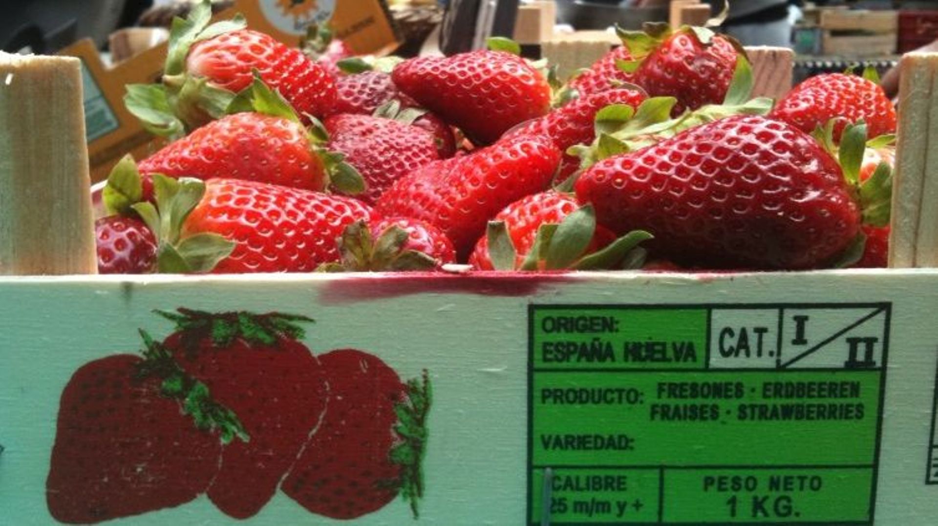 Les fraises espagnoles, qu’on trouve chez nous, sont-elles dangereuses pour la santé?
