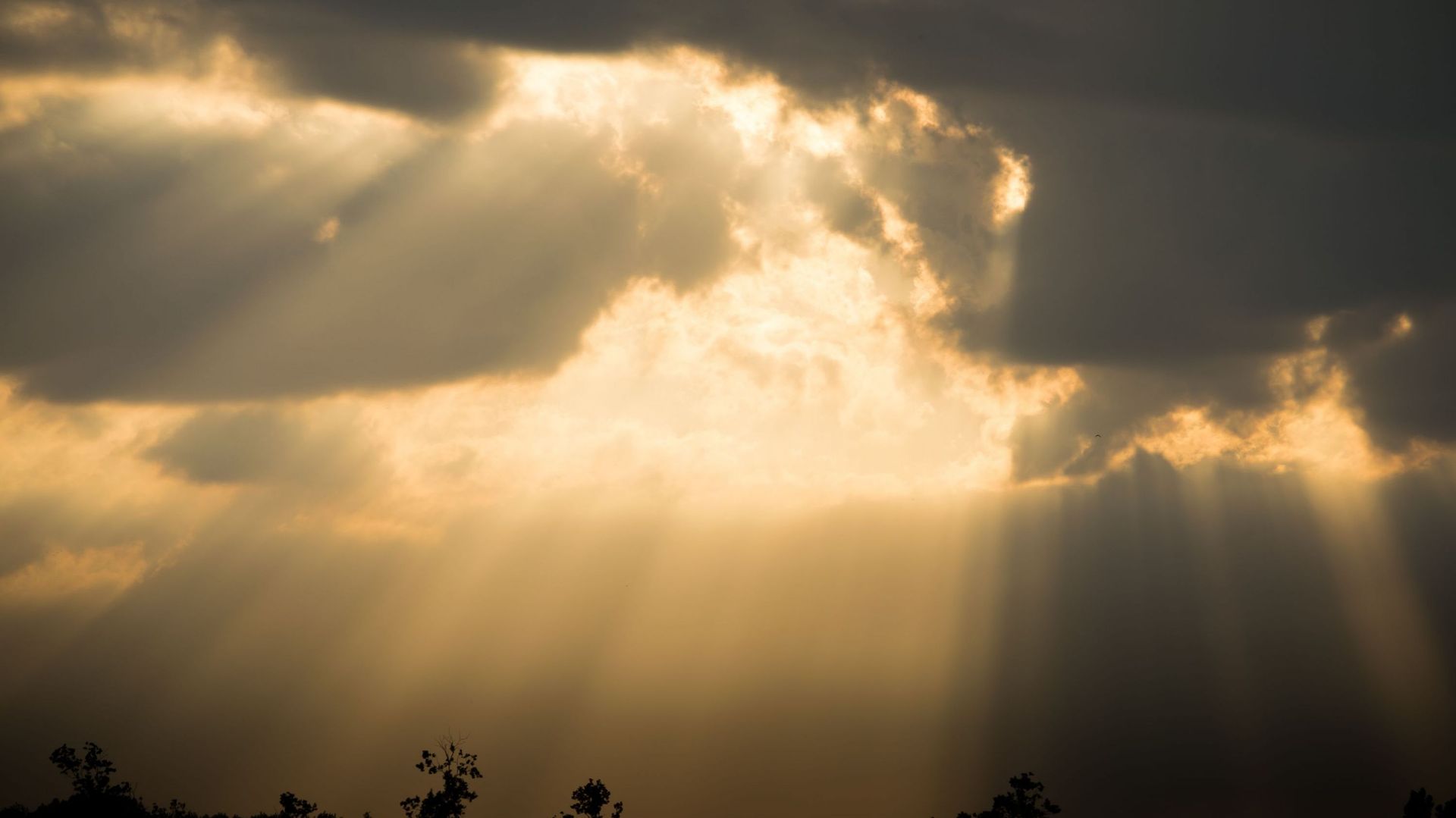 Kamo bandz xxx leaks exited of her jacket only to she