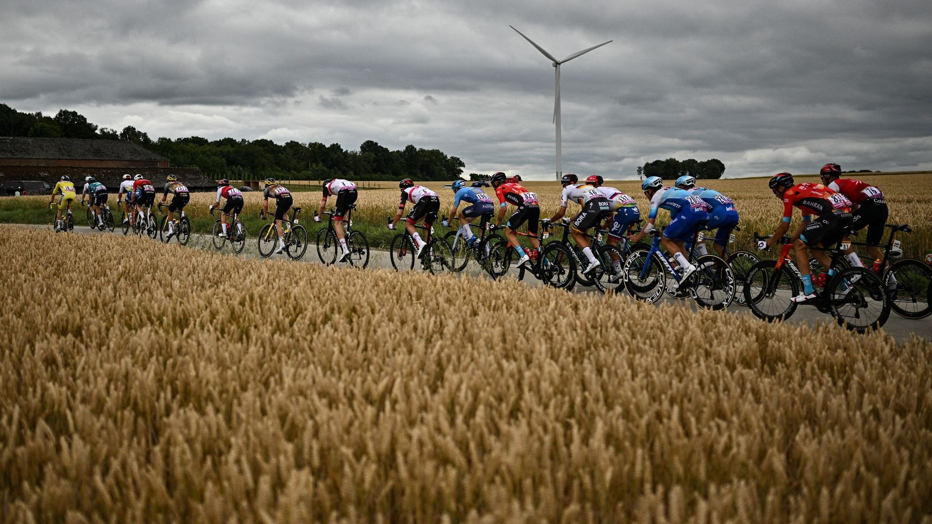 tour de france c'est quoi le maillot vert