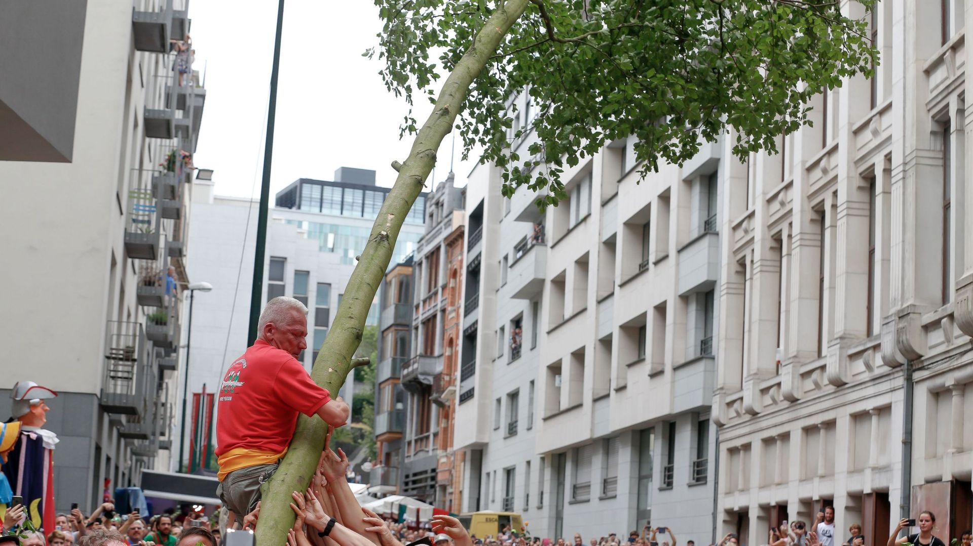 Bruxelles Le E Meyboom A T Plant Sans Public Rtbf Actus