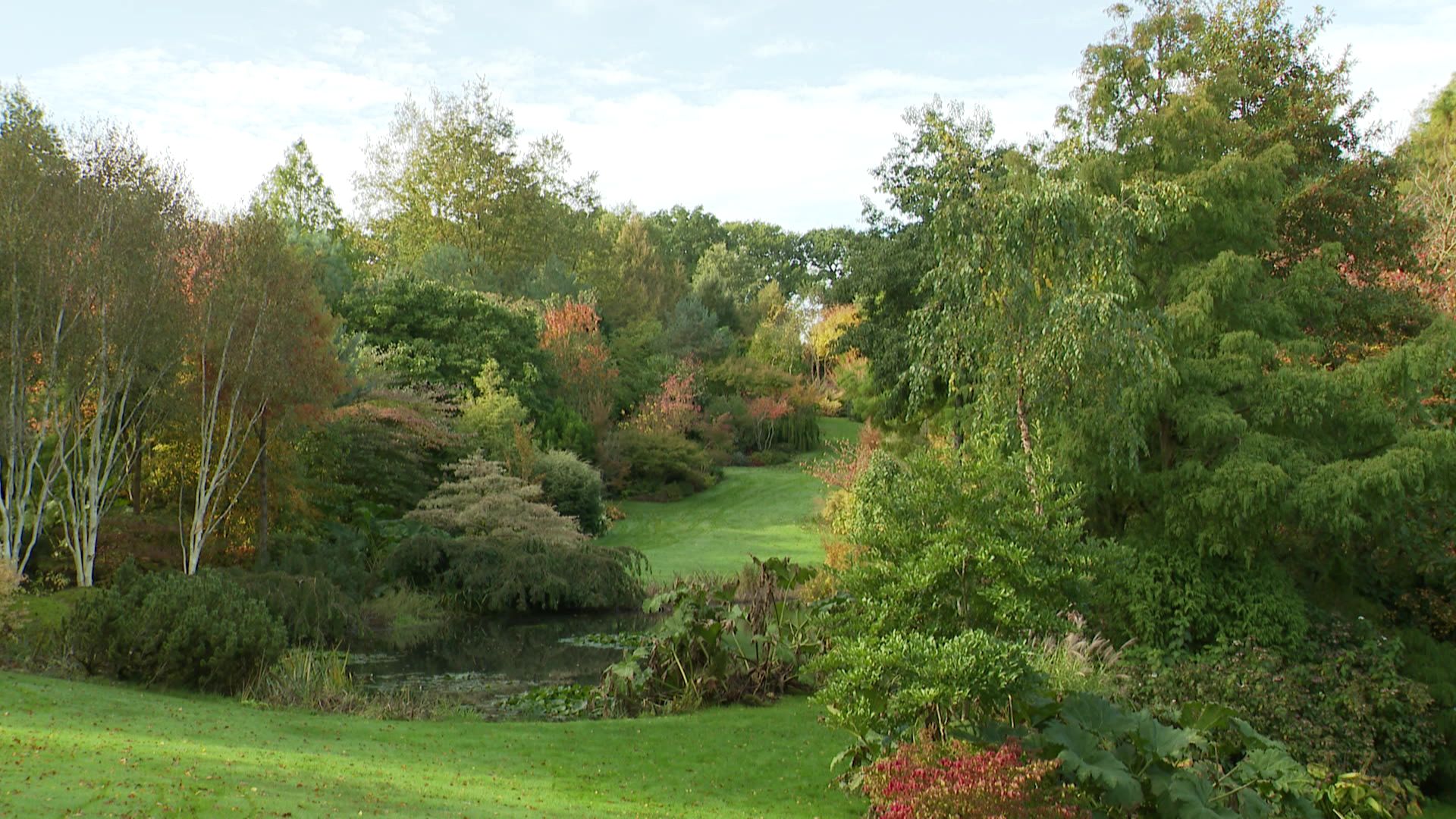 Les pentes du vallon de l'Etang de Launay offre une vue sur les 3 étangs creusés dans la partie basse de la propriété.