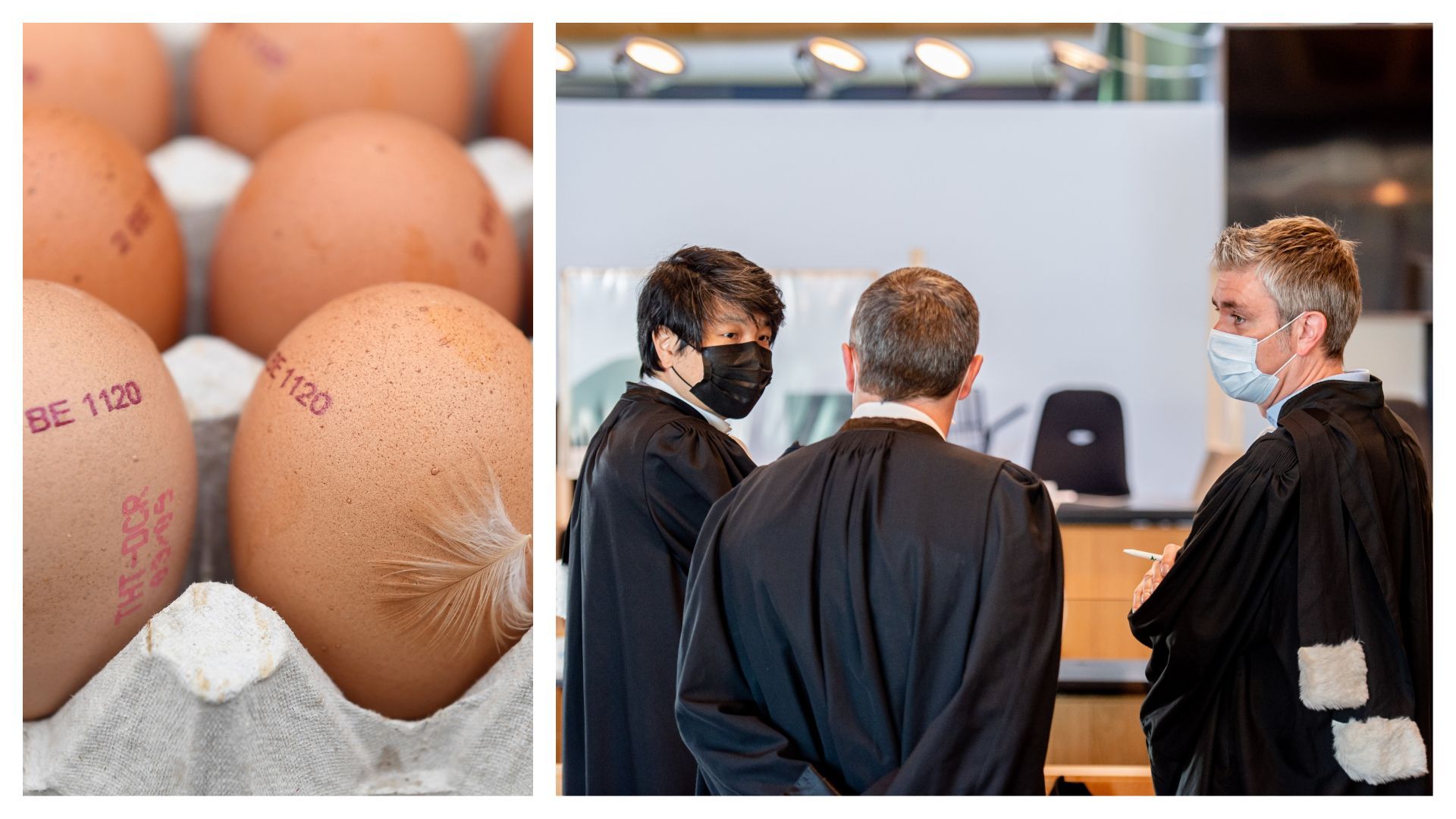 Avocats photographiés avant une session dans le procès concernant l’affaire du fipronil, devant le tribunal pénal d’Anvers, à Anvers, jeudi 22 avril 2021.