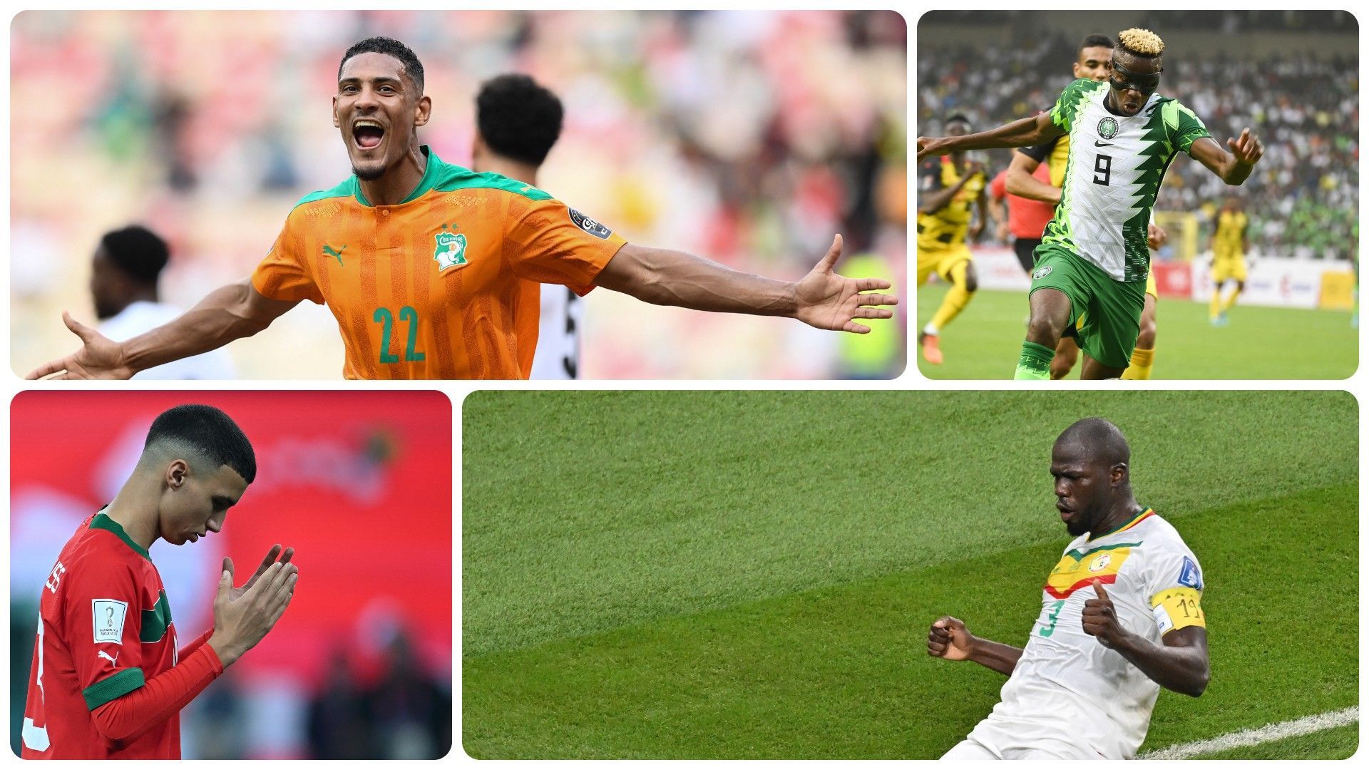 CAN 2024 : Le Maroc grand favori, selon un joueur de l'Équipe d'Algérie CAN 2024 : 3 favoris, 3 outsiders, 20 Belgicains et quelques stars - rtbf.be