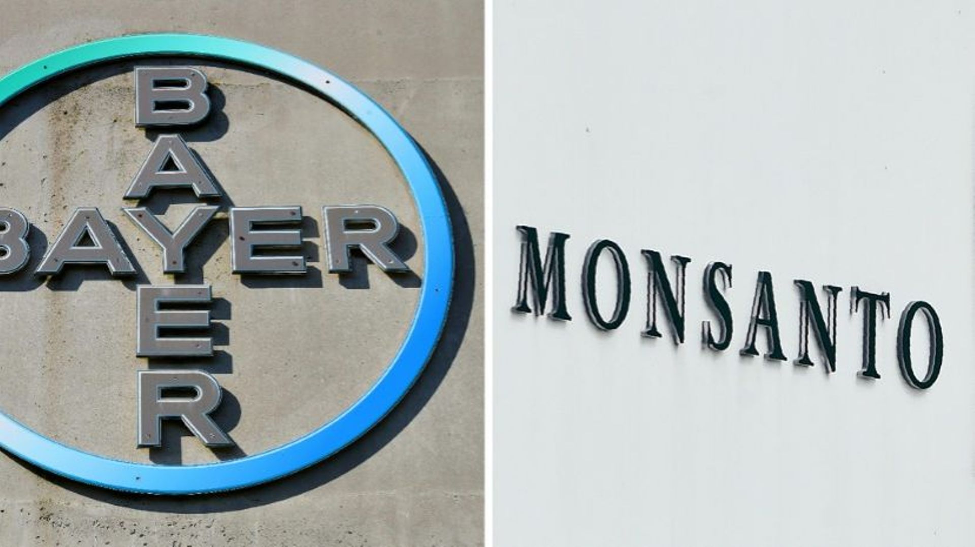 La fusion de Bayer et Monsanto est décriée par certains agriculteurs, politiques et défenseurs de l'environnement