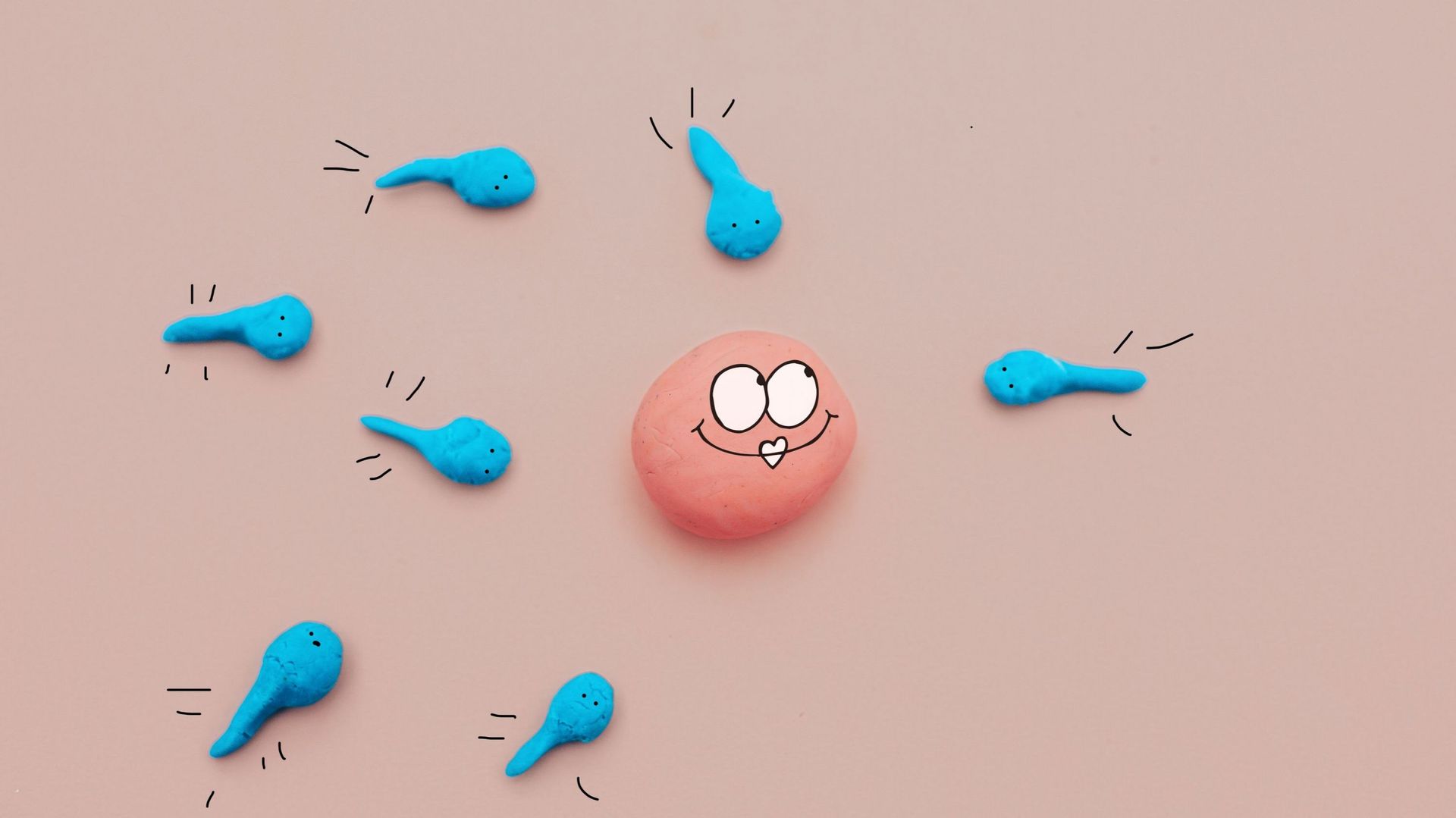Sperm cells about to fertilize an ovum .new life