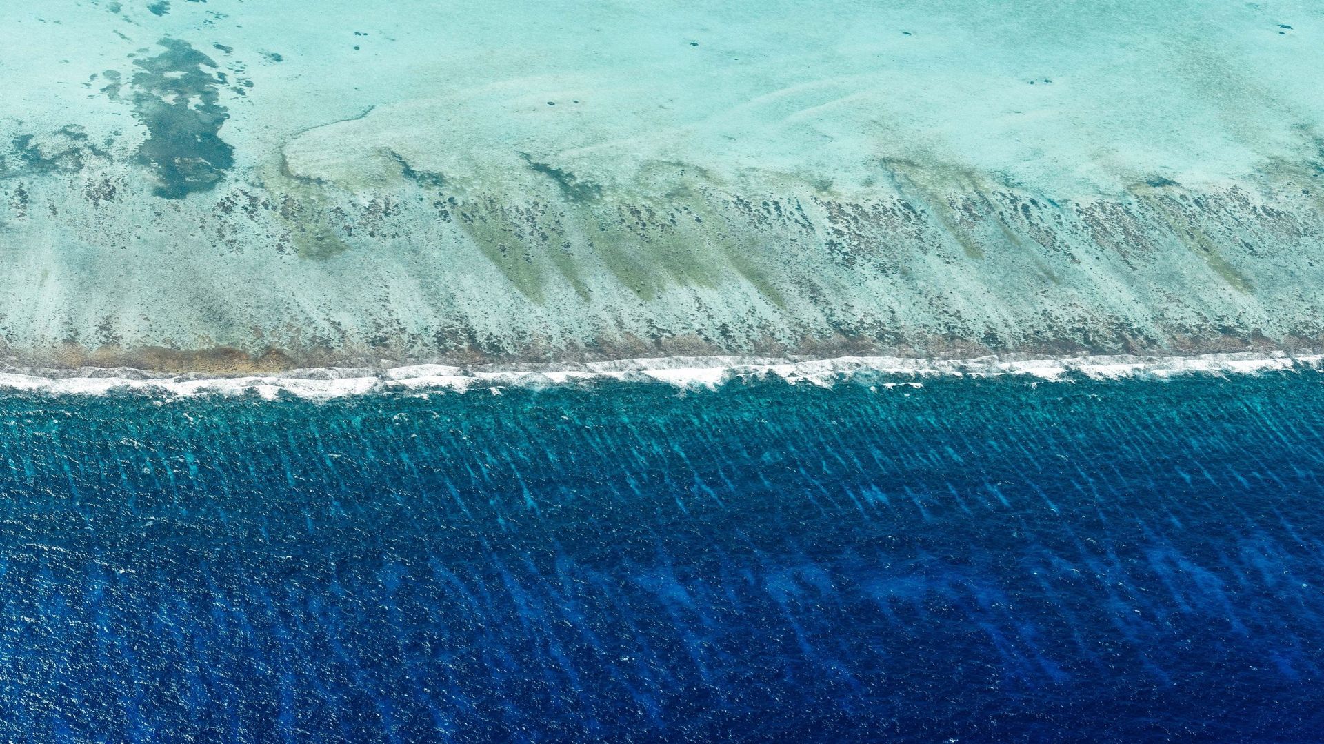 Le Belize abrite la 2e plus grande barrière de corail au monde après l’Australie.