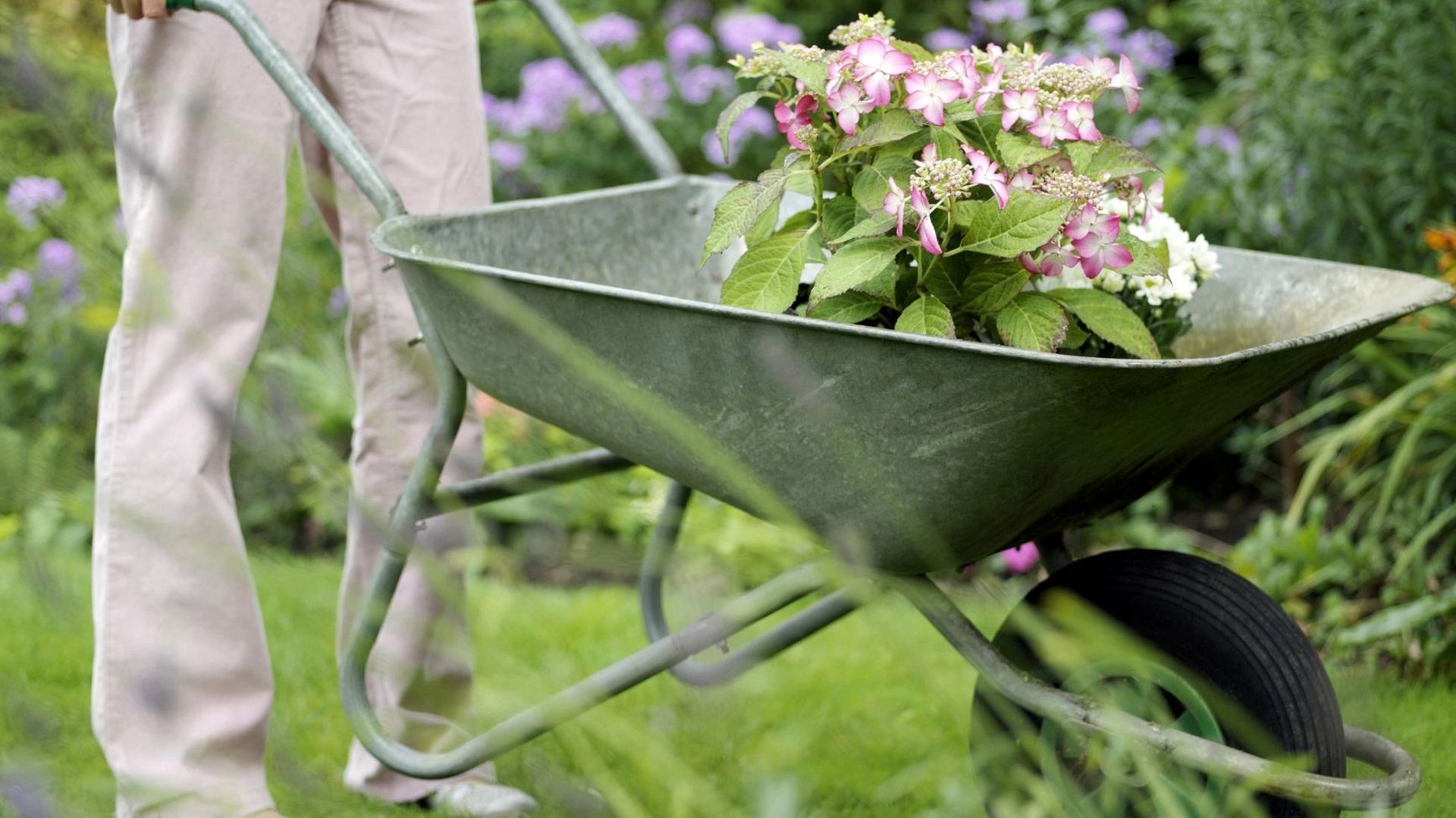 Octobre et novembre : les mois idéaux pour déplacer vos végétaux au jardin