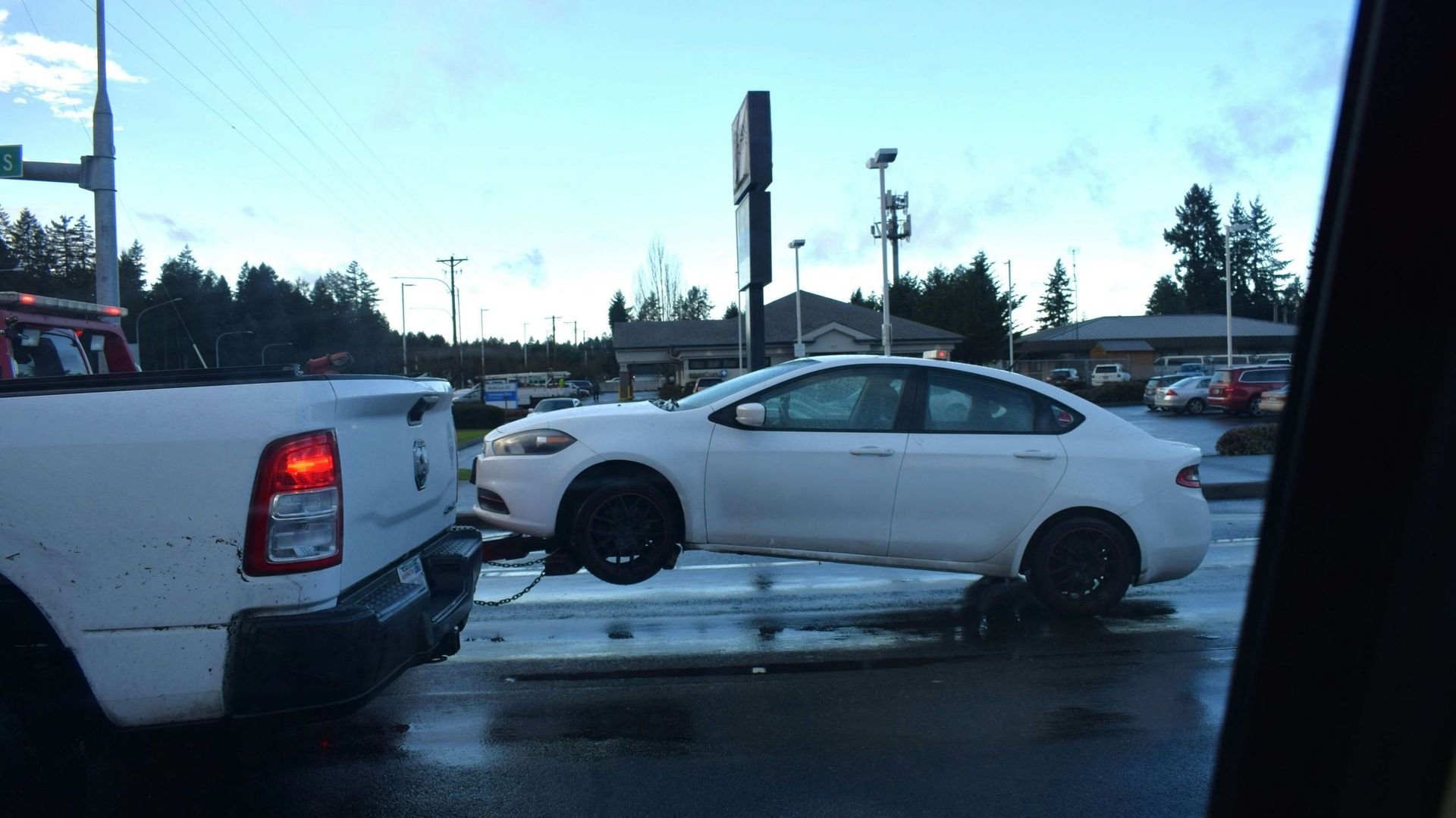 珍しい分：アメリカの雌豚が高速道路で車を牽引することでパニックに陥る