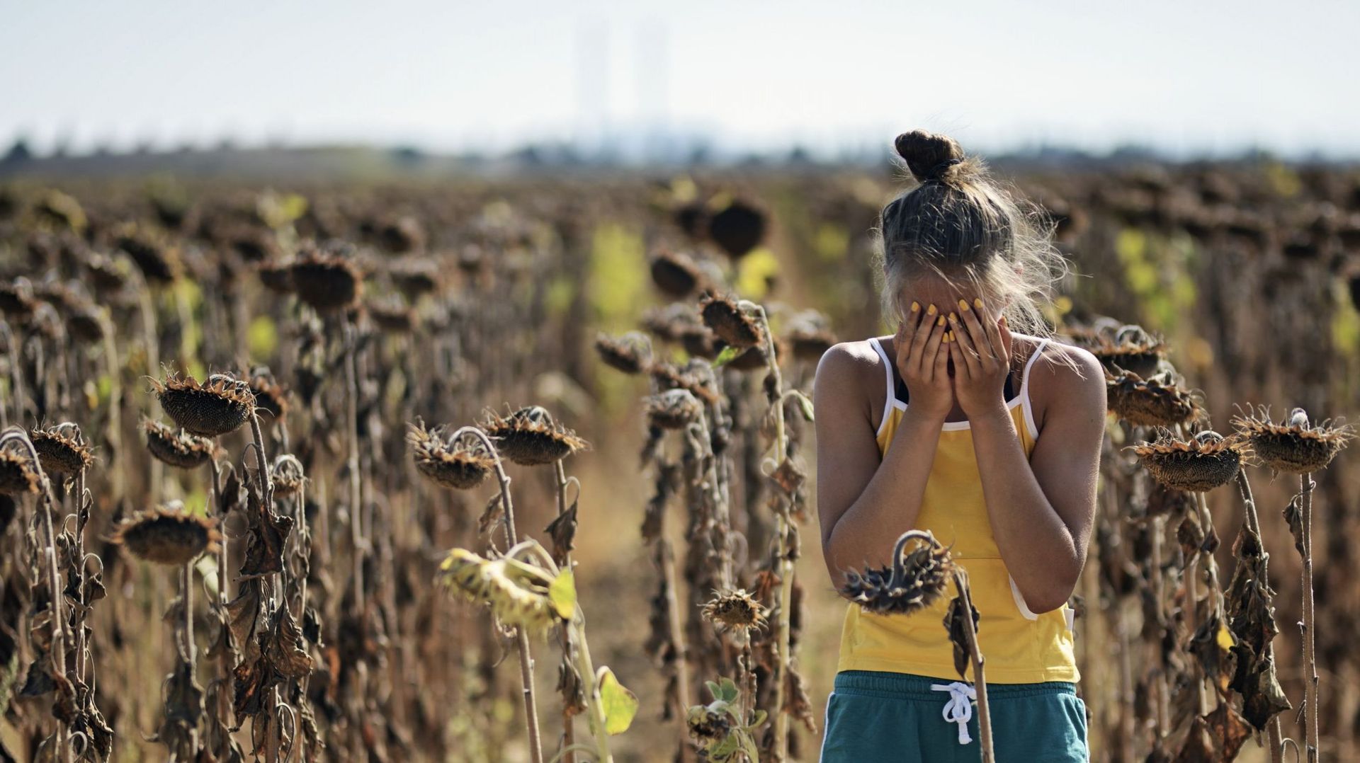 Jeune fille triste devant l’impact de la sécheresse sur un champ de tournesol.