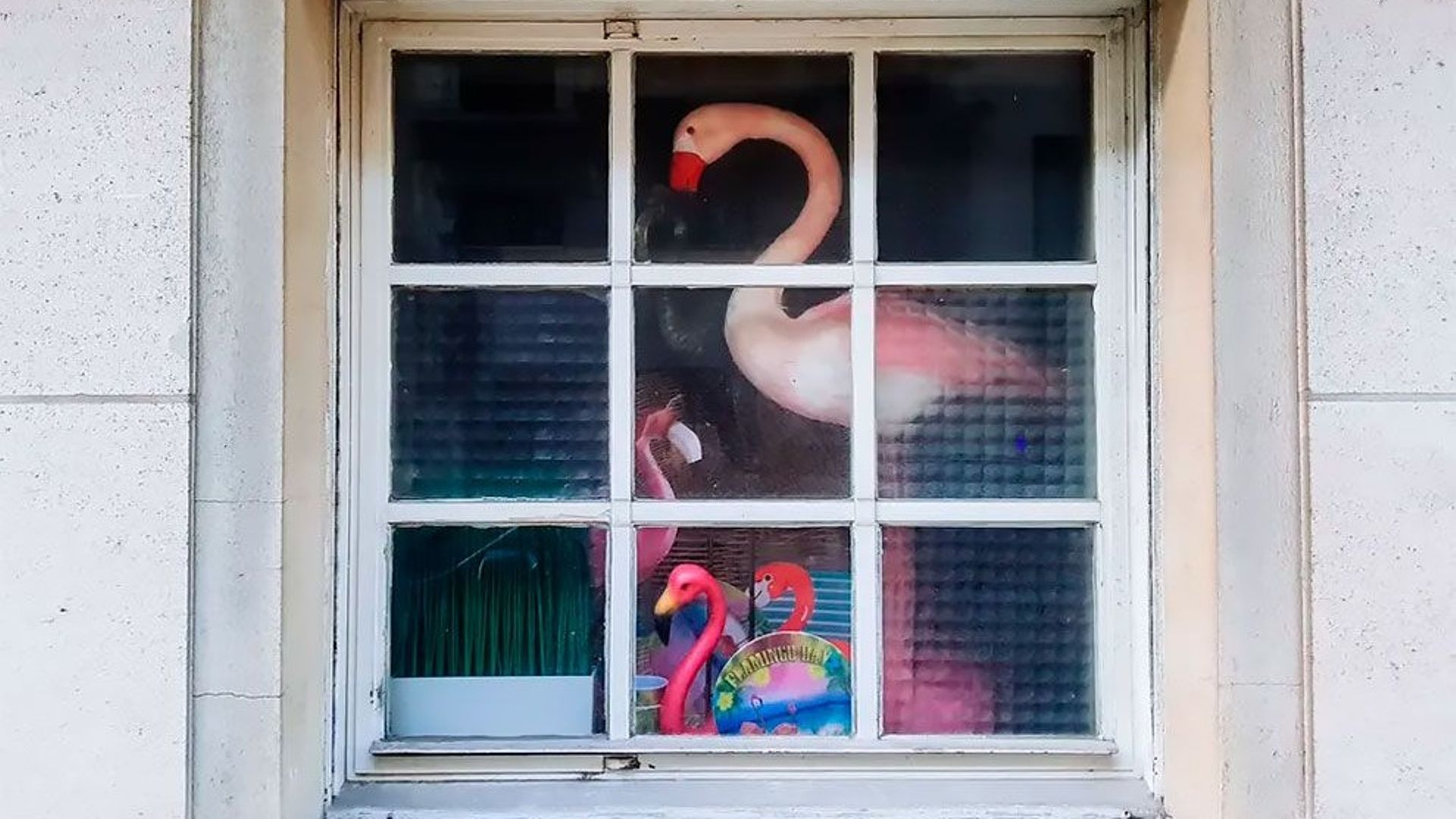 "Strange Things Behind Belgian Windows" - 2019