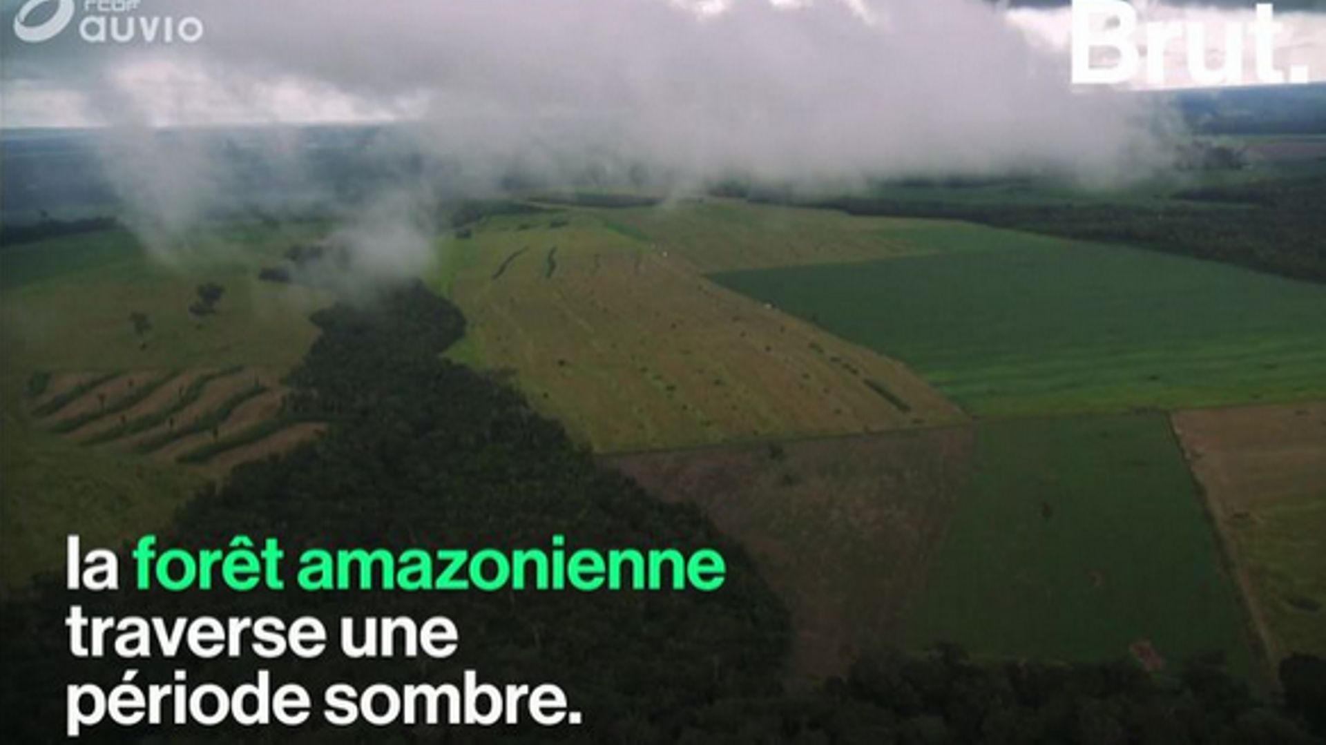 L'Amazonie connaît un pic de déforestation, le pire depuis 10 ans