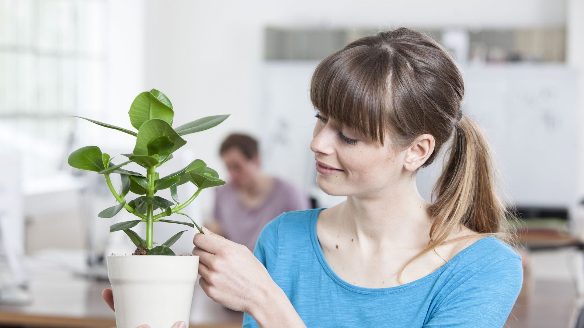 Les plantes réduisent le stress au travail
