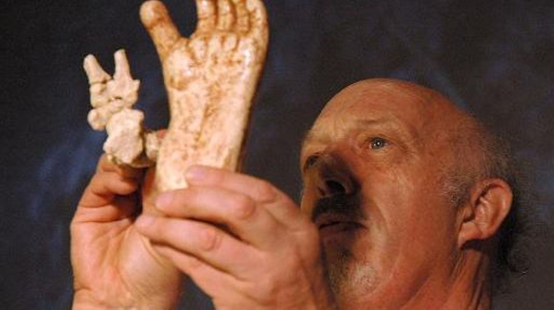Photographie du 27 mai 2005 à Maropeng, en Afrique du Sud, montrant le Professeur Ron Clarck qui présente des répliques de structures osseuses
