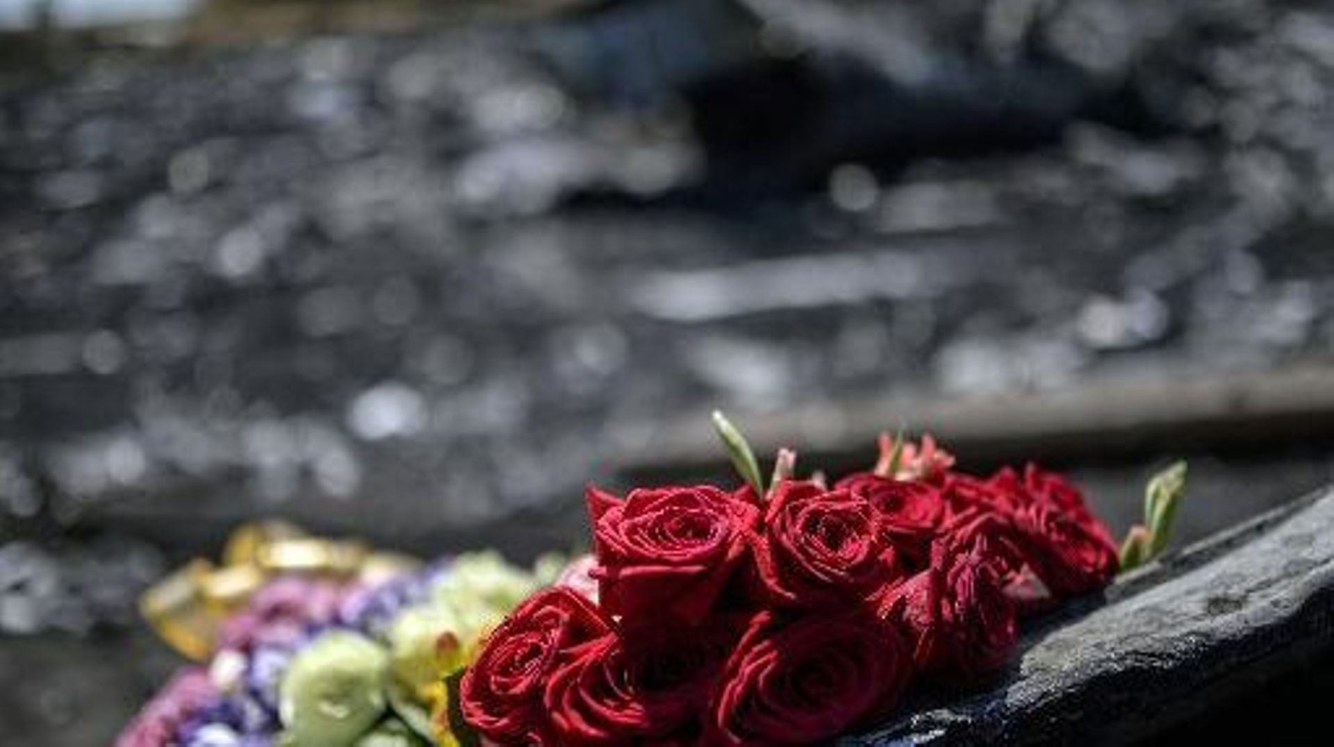 Ukraine: les premiers proches de victimes du MH17 sur le site du crash