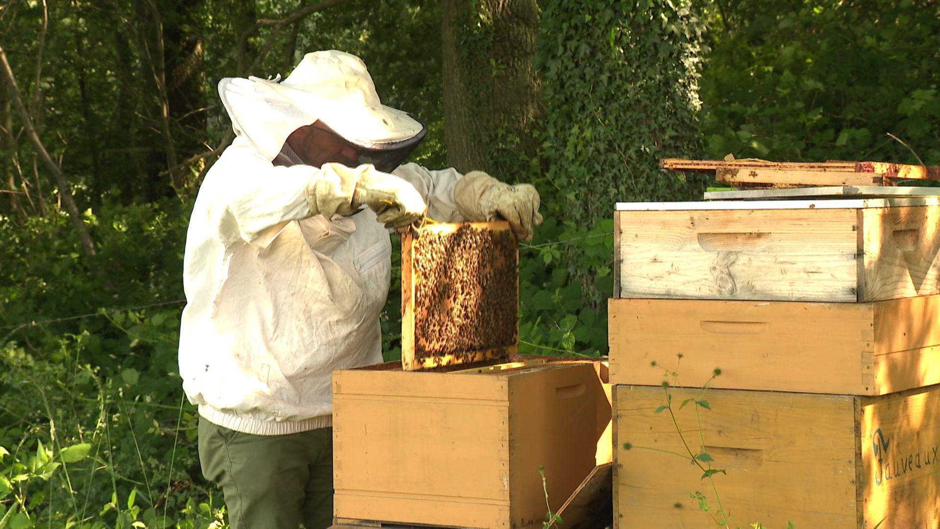 Frédéric a suivi des cours d’apiculture et gère un petit rucher.