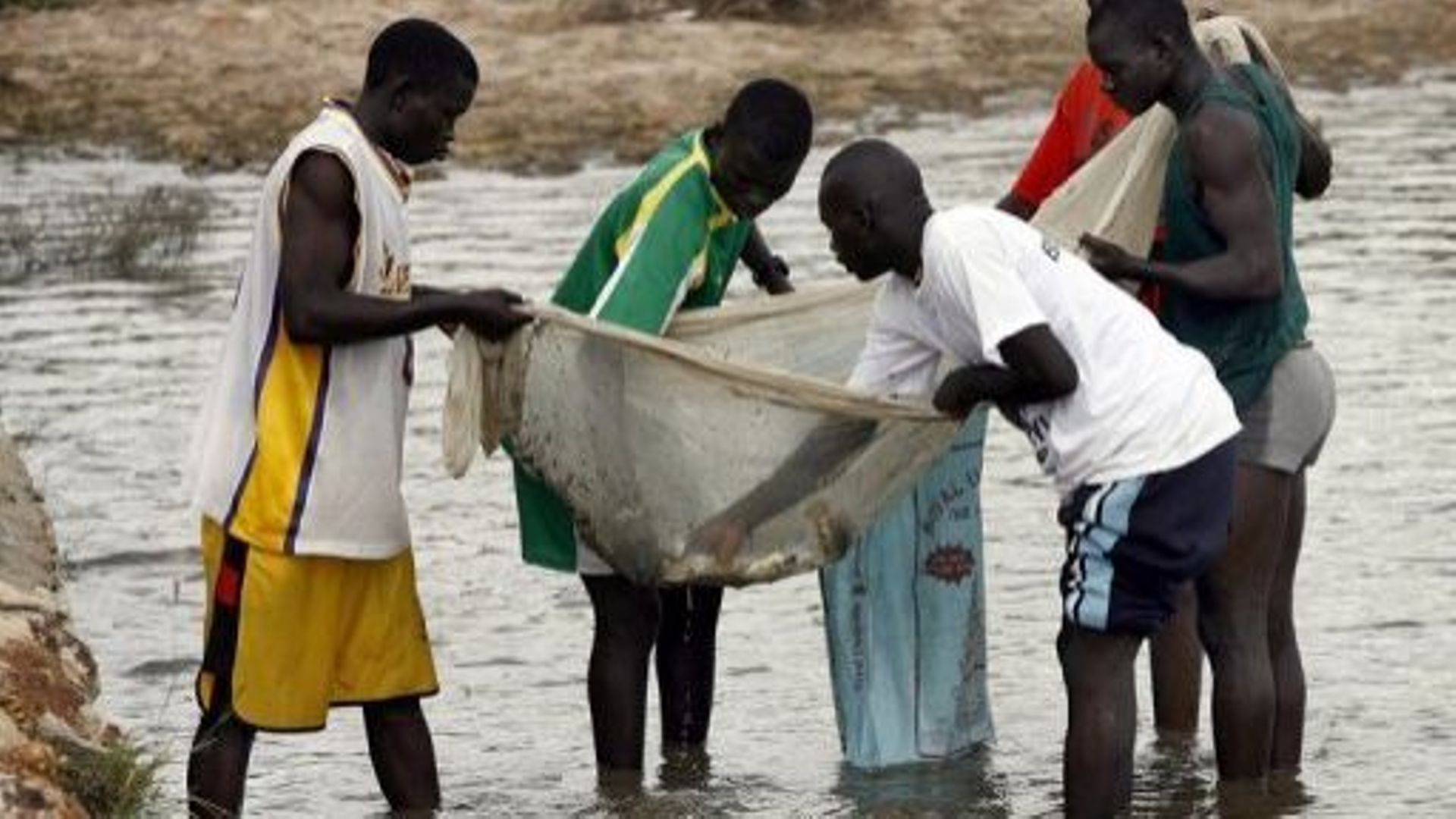 Greenpeace dénonce le "scandale des autorisations de pêche" au Sénégal