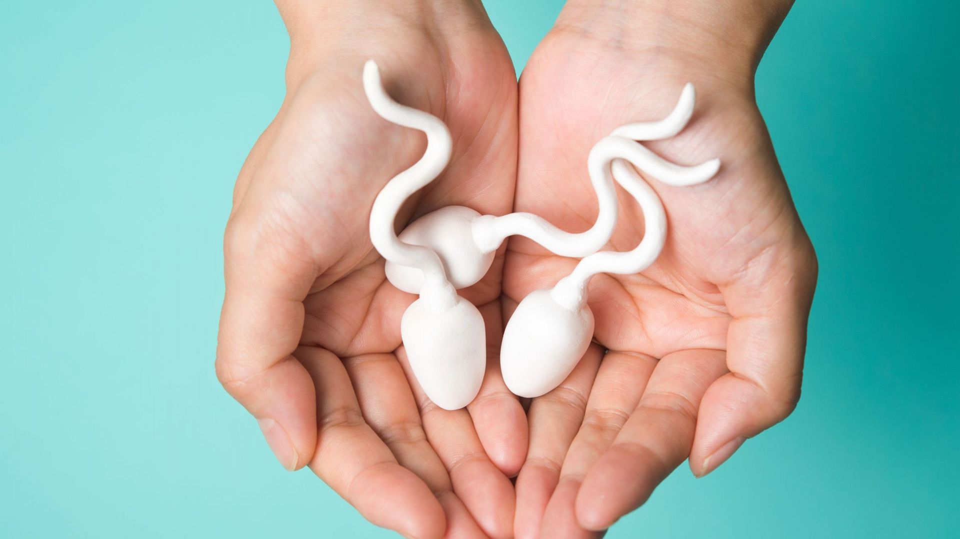 Perturbateurs endocriniens : une menace pour la qualité du sperme ?