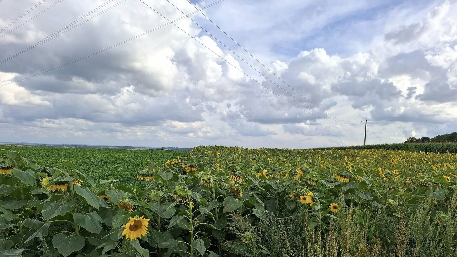 Météo en Belgique : retour des averses ce jeudi, dans la douceur